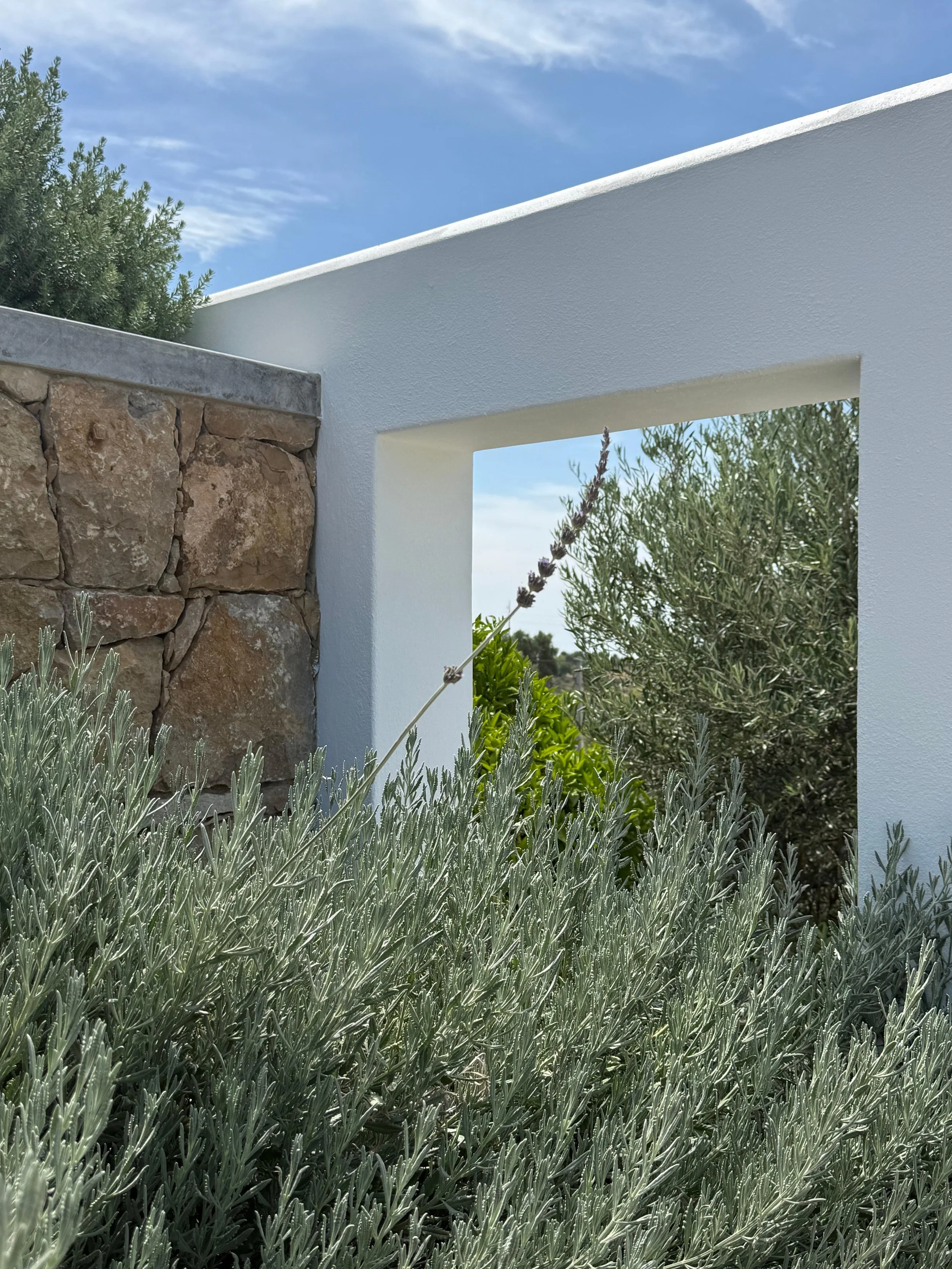 garden design landscapers algarve portugal earth and clay 7.jpeg