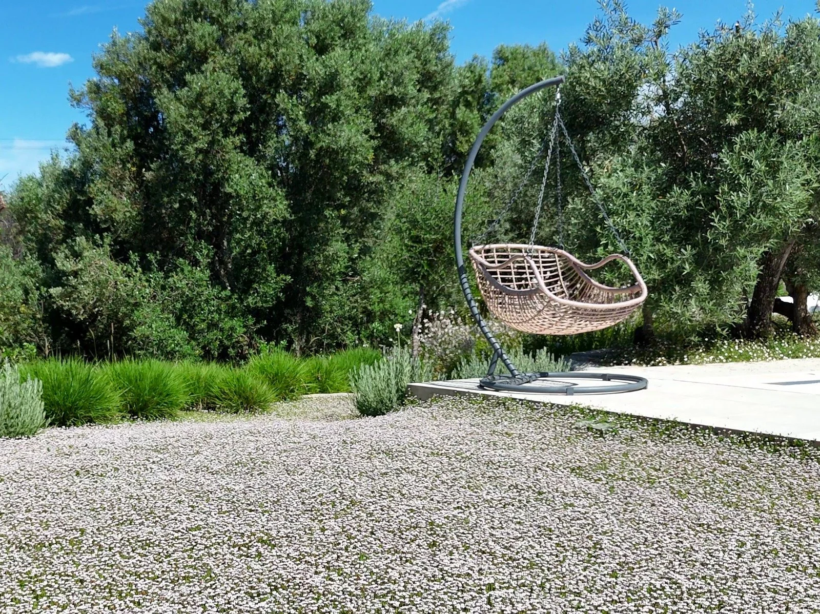 earthandclay natural garden designs algarve landscaping - low water consumption garden in algarve2.10.jpeg