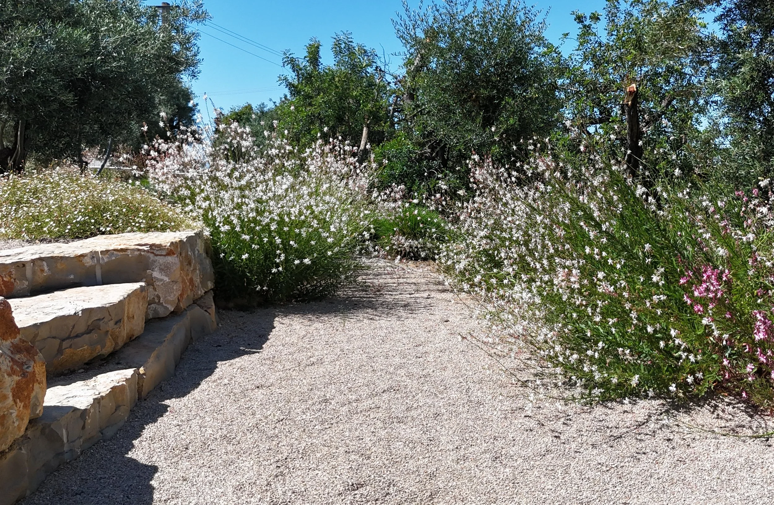 earthandclay garden designs algarve landscaping30_D.JPG