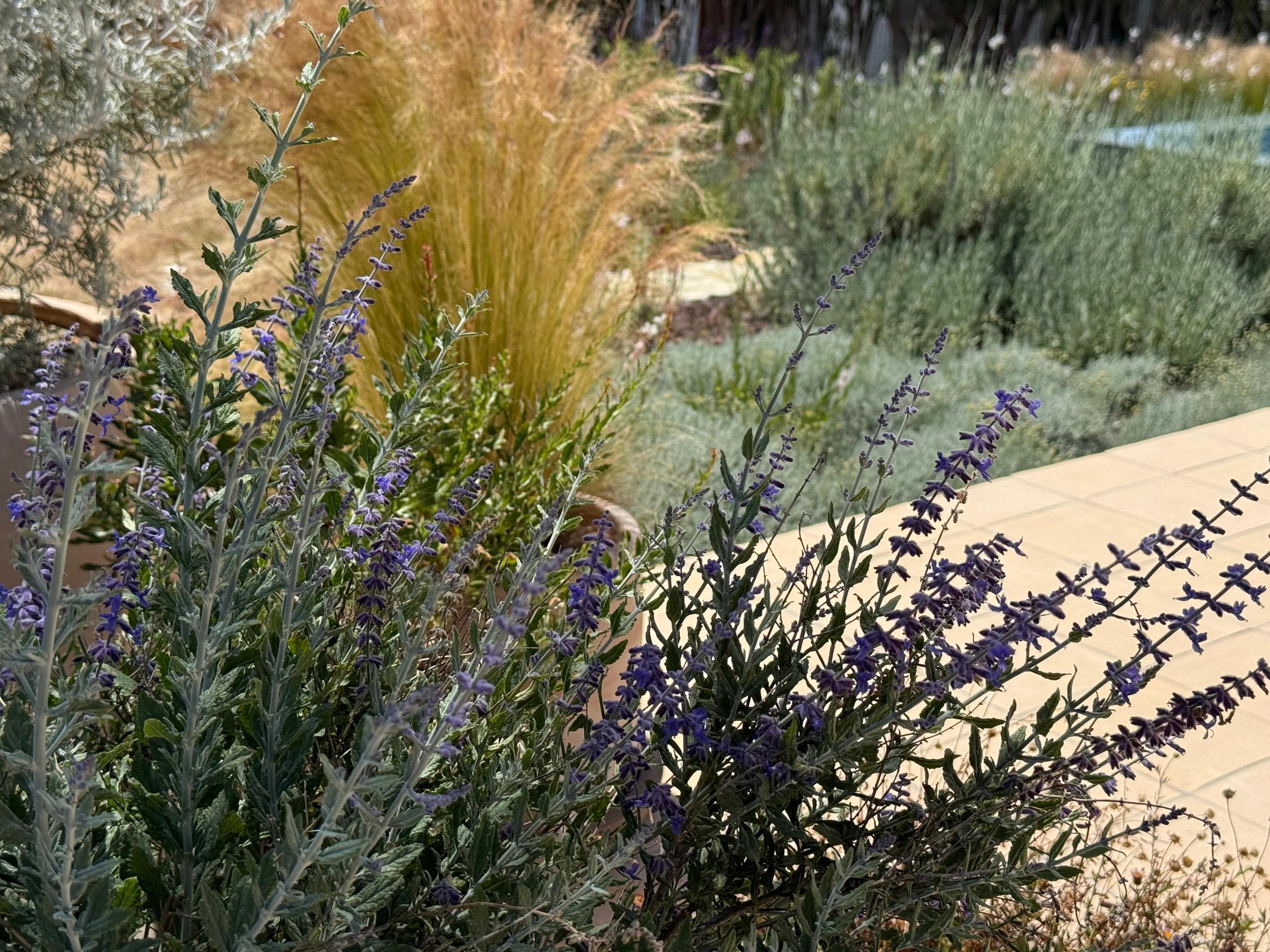 garden installation earth and clay - landscape designs4.20.jpeg
