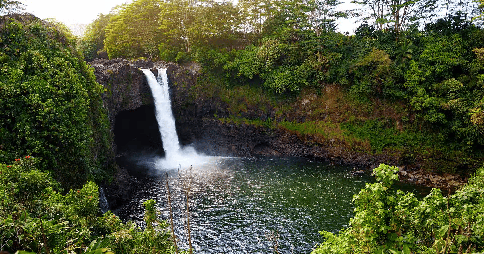 A waterfall cascading into a pool surrounded by lush green trees and vegetation.
