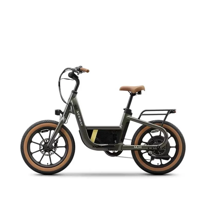 Segway Muxi