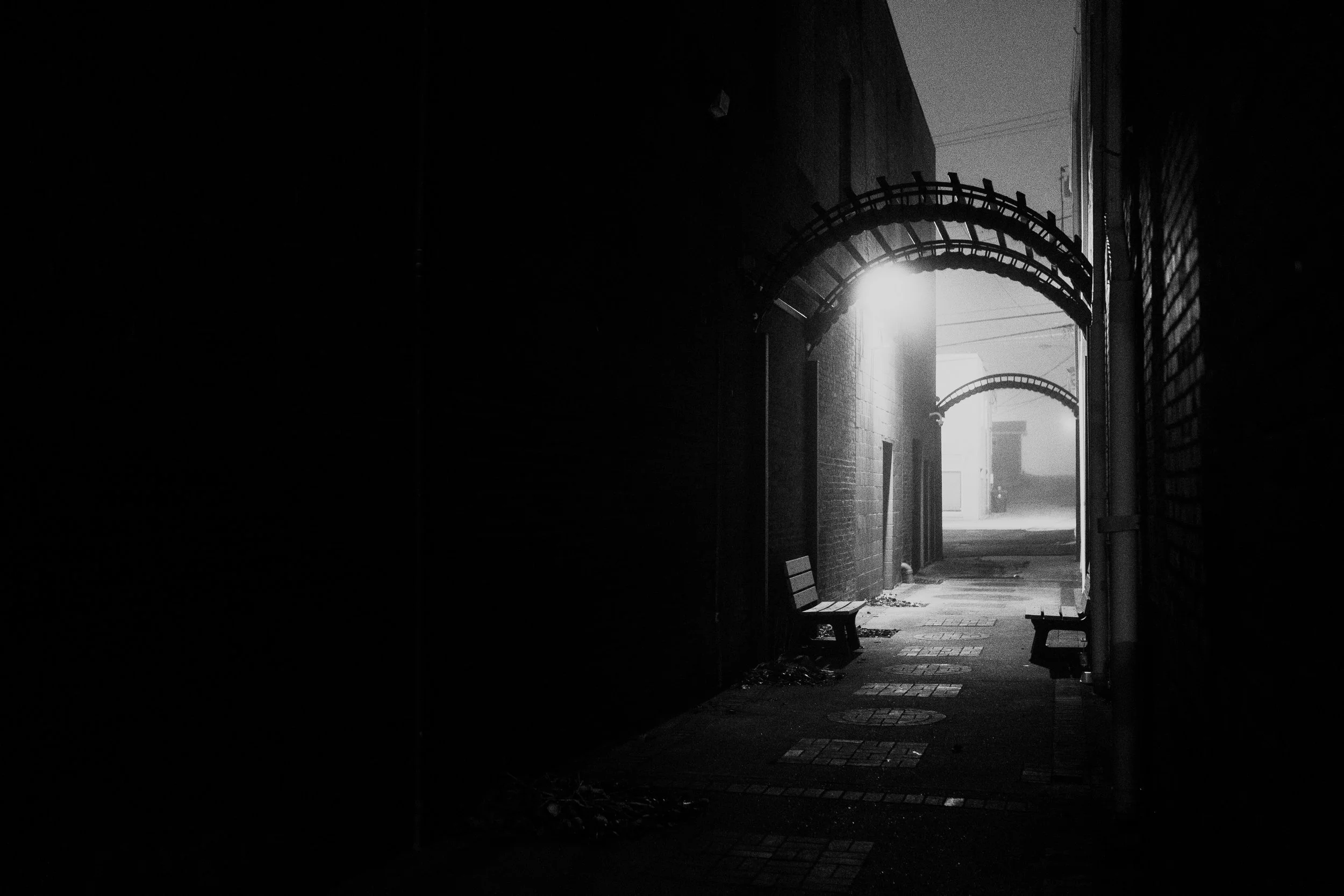 Campbellsville Fog-7.jpg