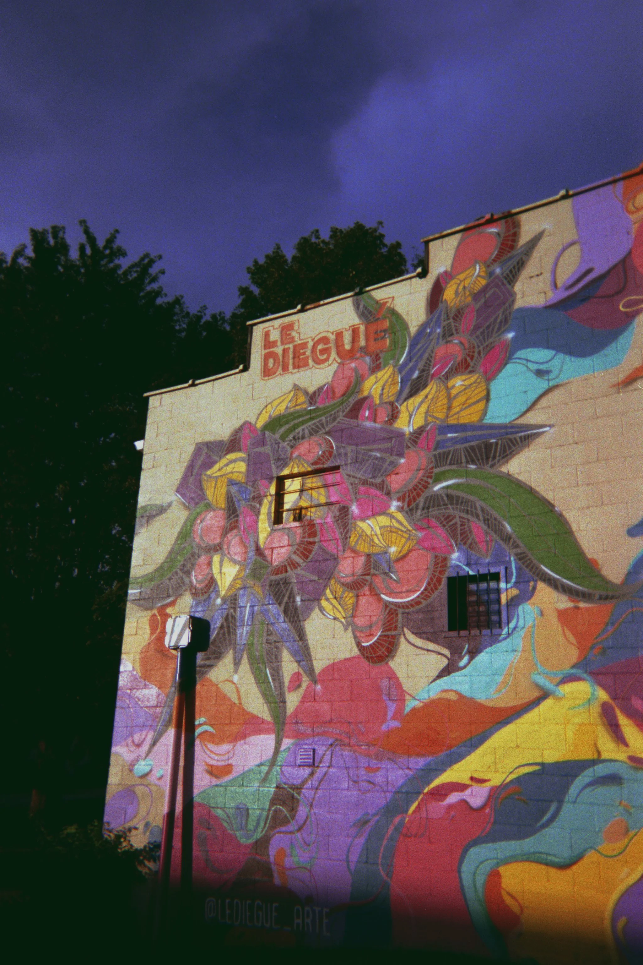 006_20a.jpg