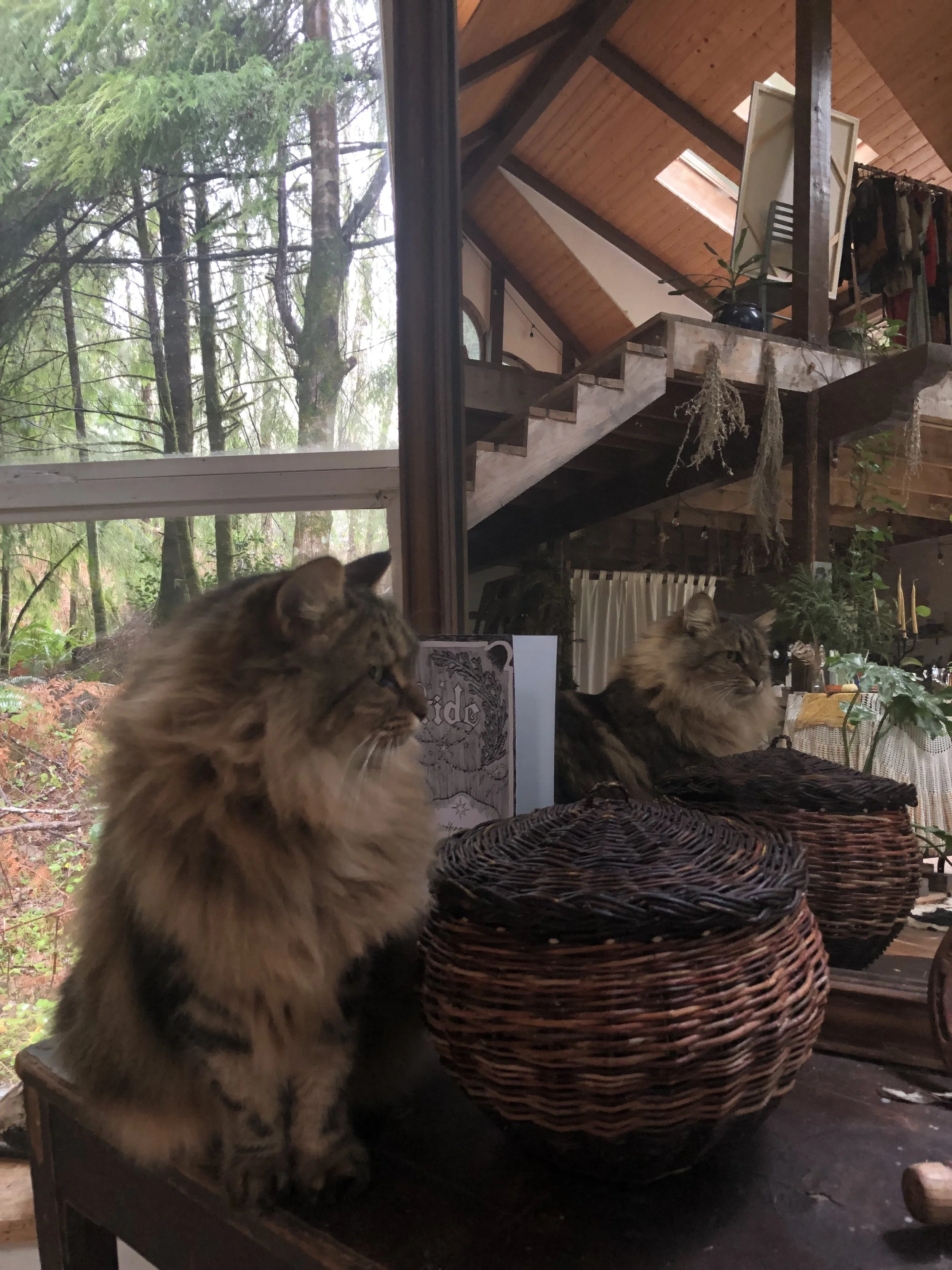 IMG_5273 (1).jpeg