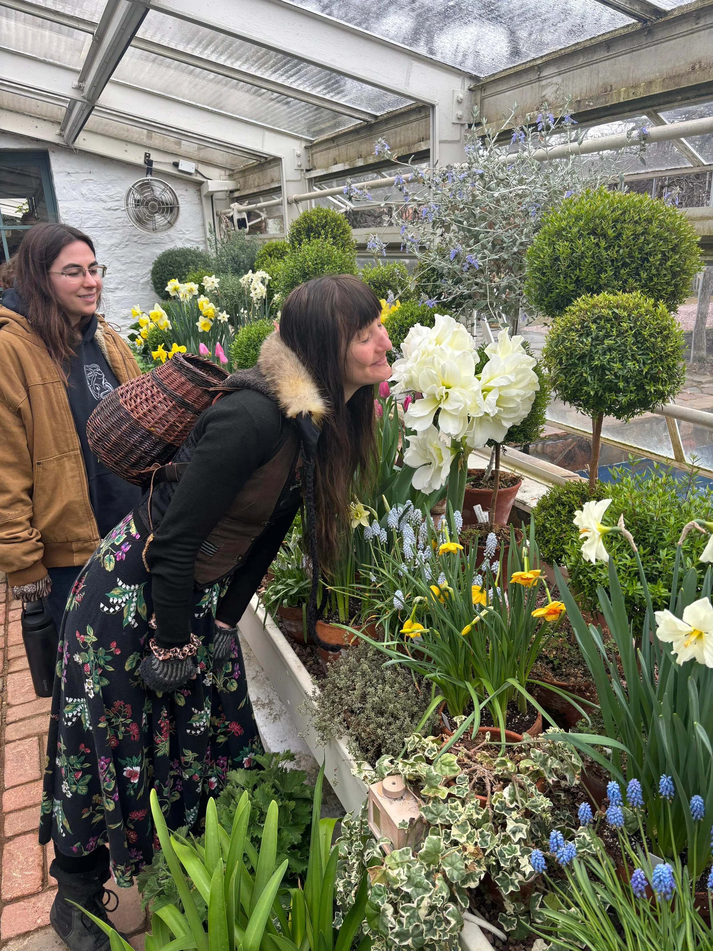 209047D8-FC97-4979-AAEF-5A9AA0B80BB7 (1).jpeg