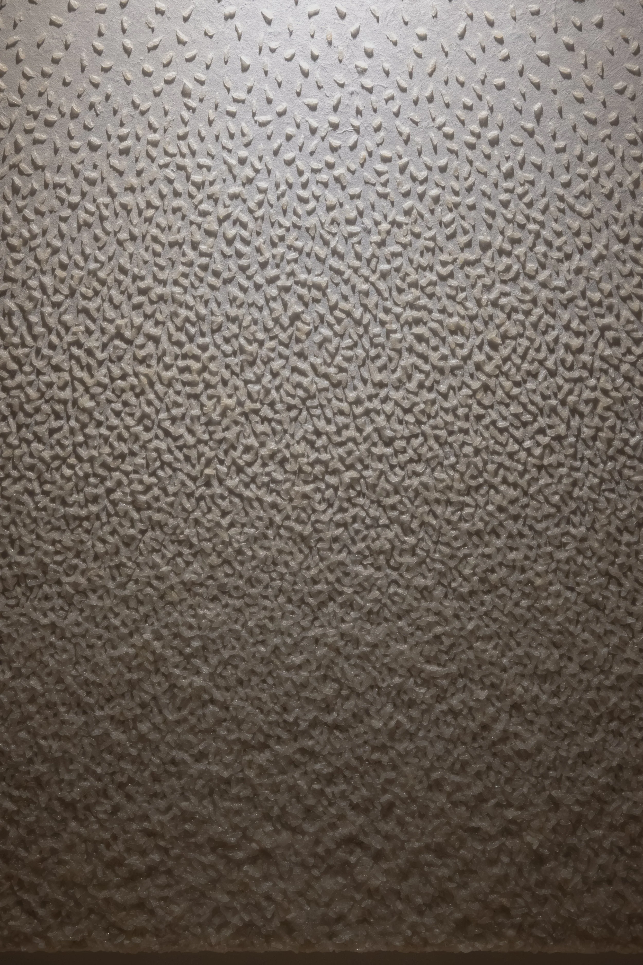 Under the, 2025. Cooked rice on hanji - 18.1 x 21.2 x 1.1 in.