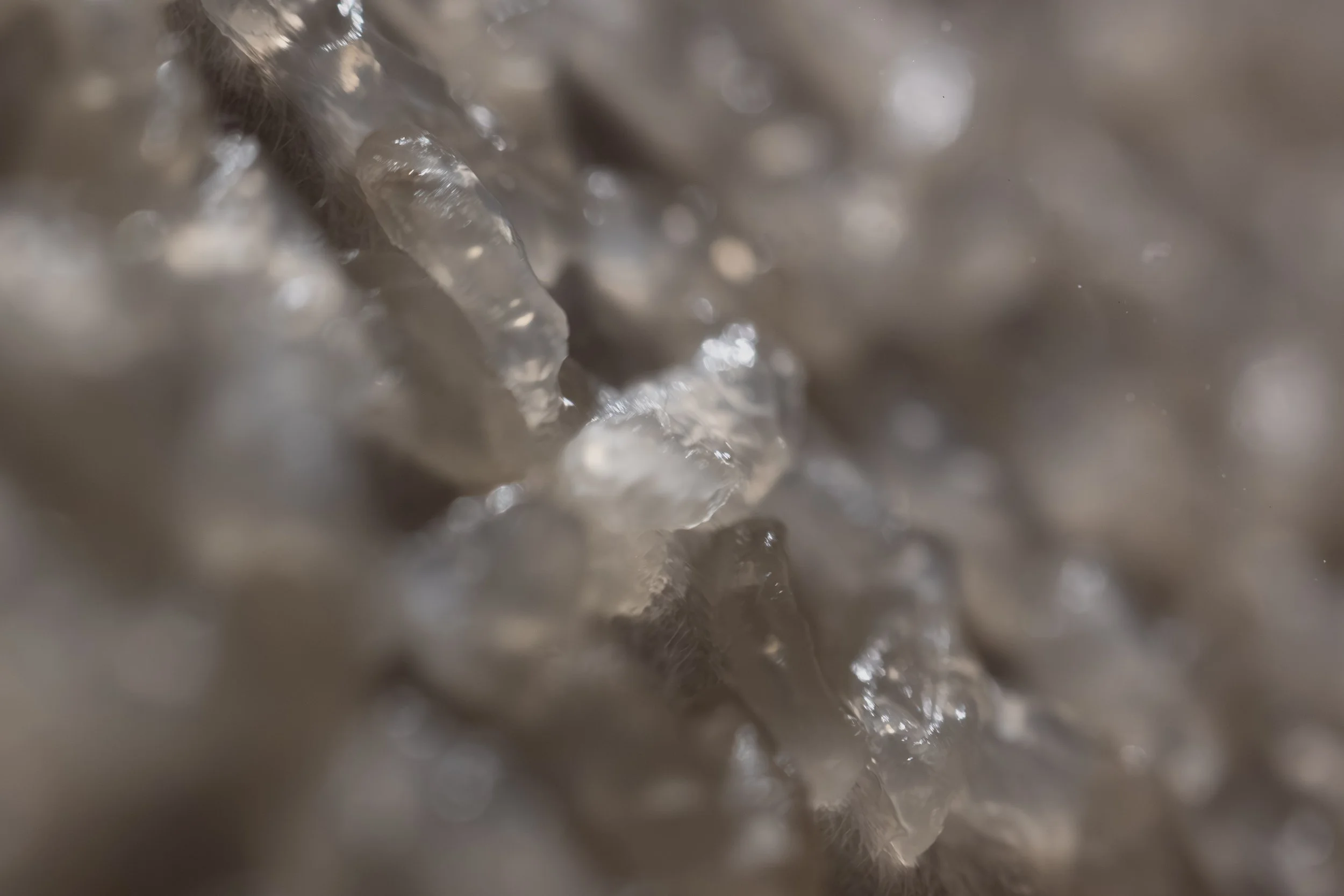 Under the, 2025. Cooked rice on hanji - 18.1 x 21.2 x 1.1 in.