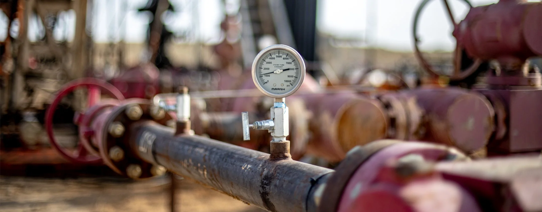 2026 website headers Group B_0014_Layer 2.jpg