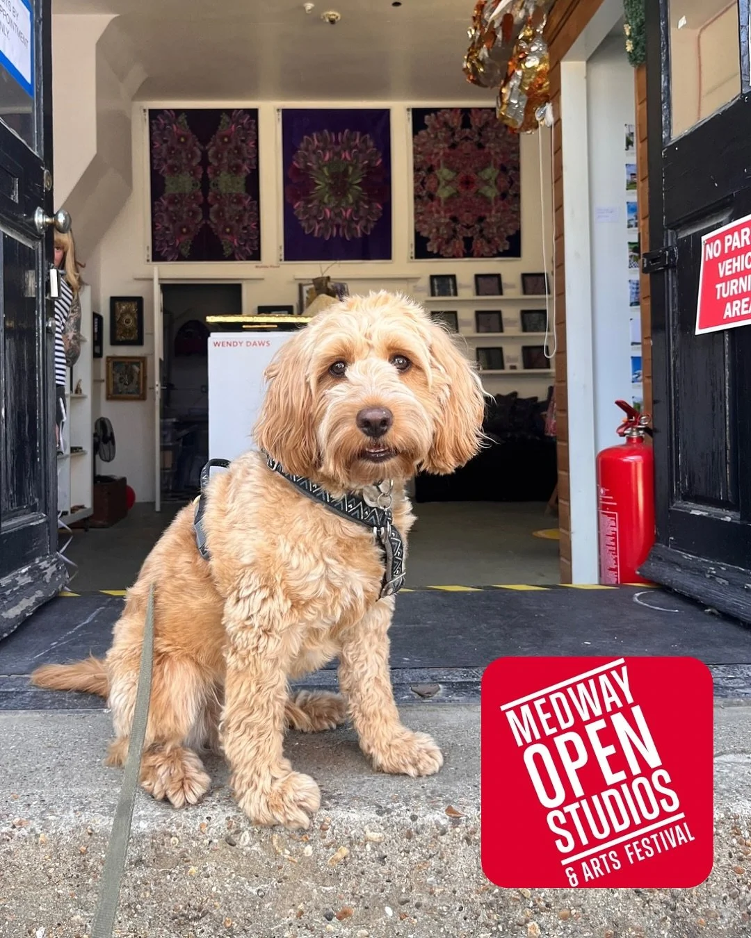Barney cordially invites you to join us at The Tack Room for drinks TONIGHT (6 pm - 9 pm) for our evening opening for Medway Open Studios, showcasing some incredible work by 7 fabulous artists! 🐾

@matilda_illustrates 
@wendydawsart 
@rosie__melvill