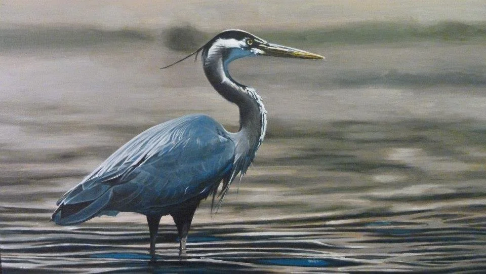 Heron.jpg