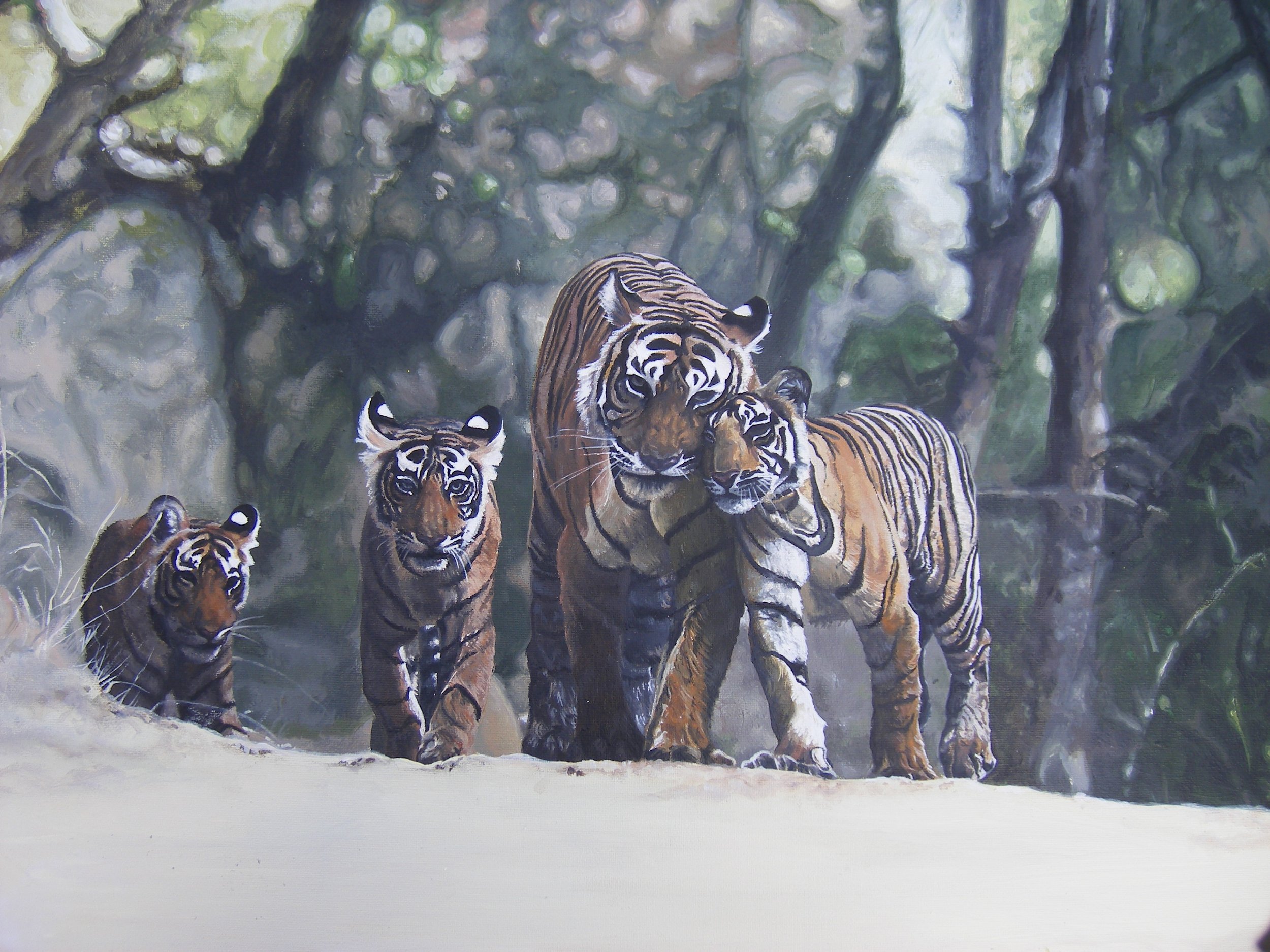 Tiger+full+shot.JPG