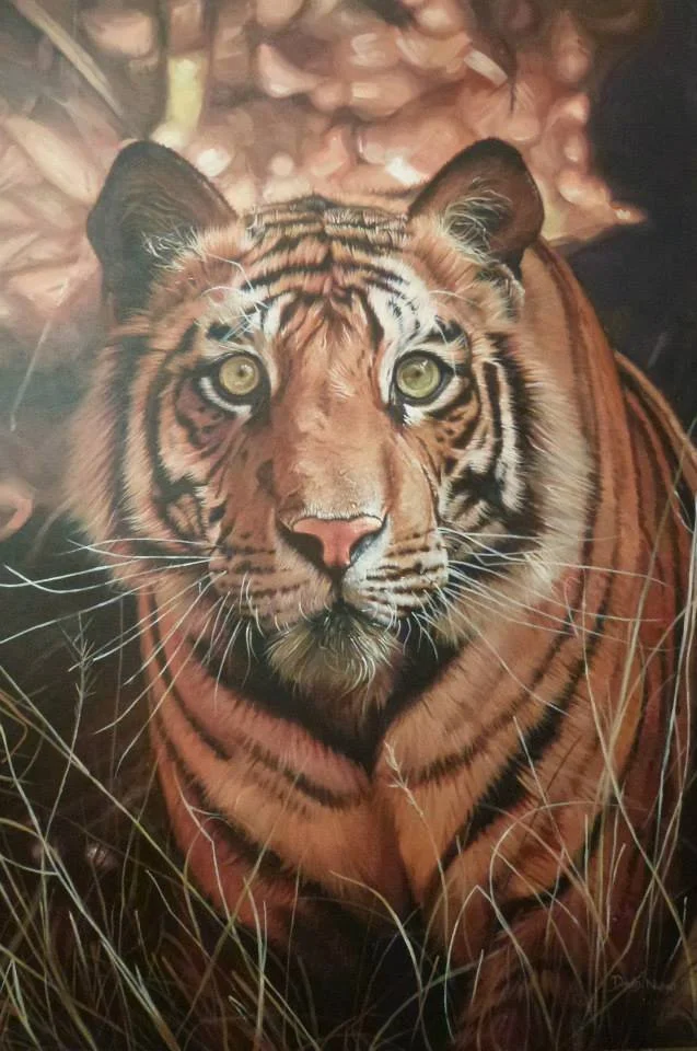 Tiger_n.jpg