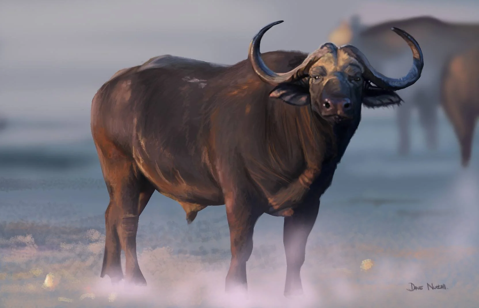 Buffalo.jpg