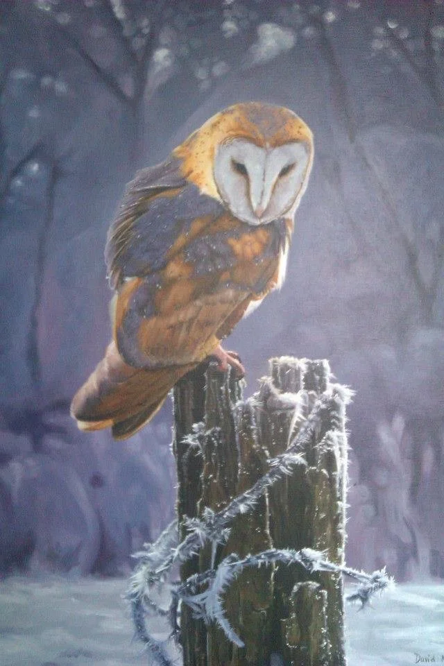 Owl.jpg