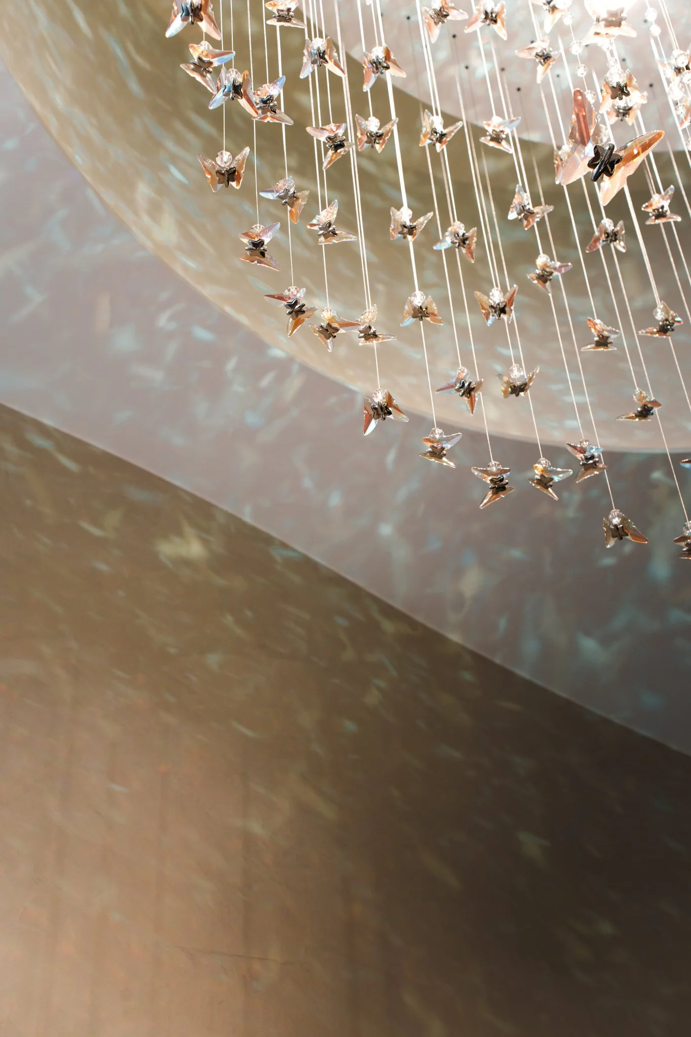 SPECTRUM_KNOKKE_2_CROP-32.jpg