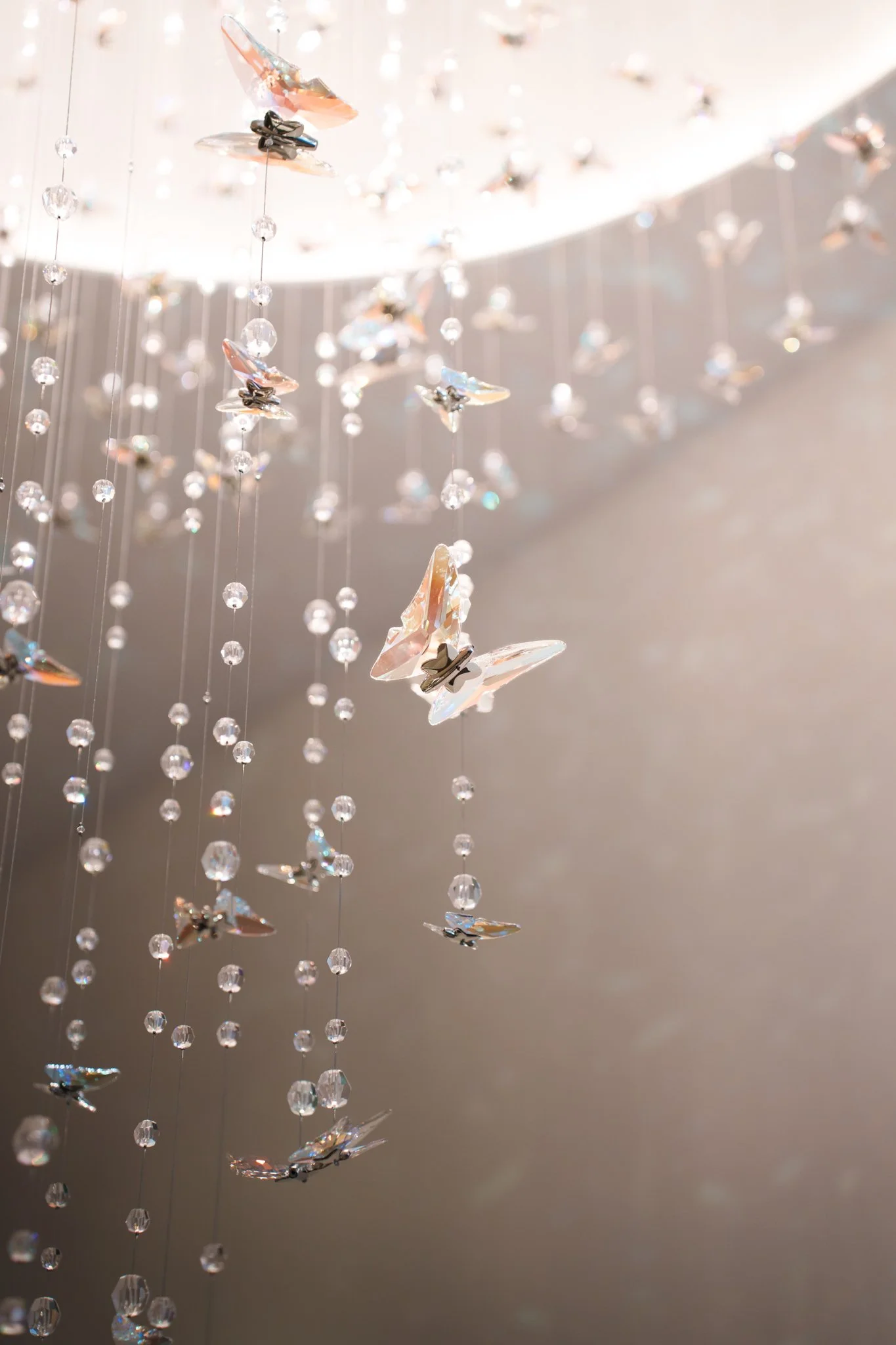 SPECTRUM_KNOKKE_2_CROP-73.jpg