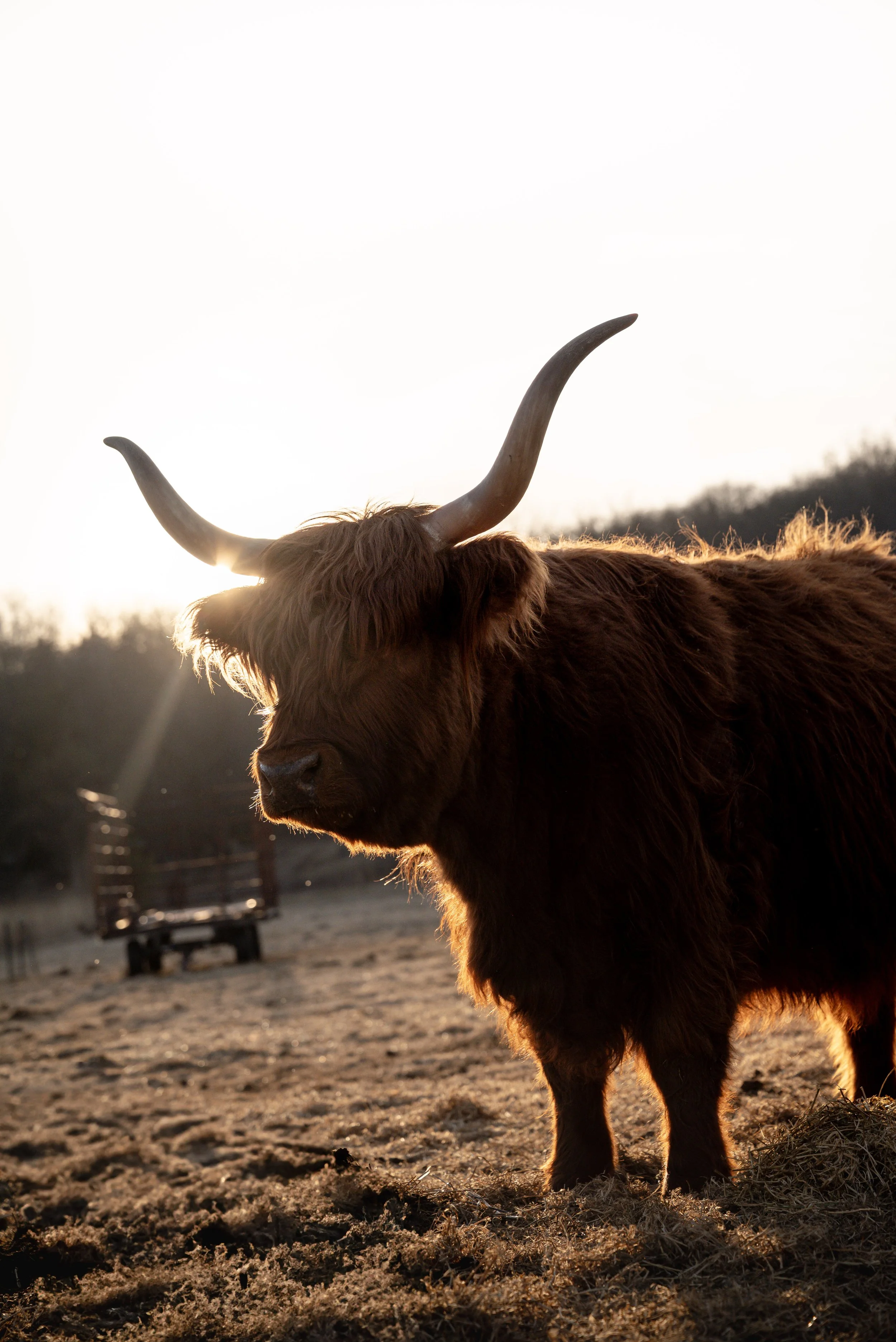 Why a Clear, Well-Designed Website Matters for Small Businesses