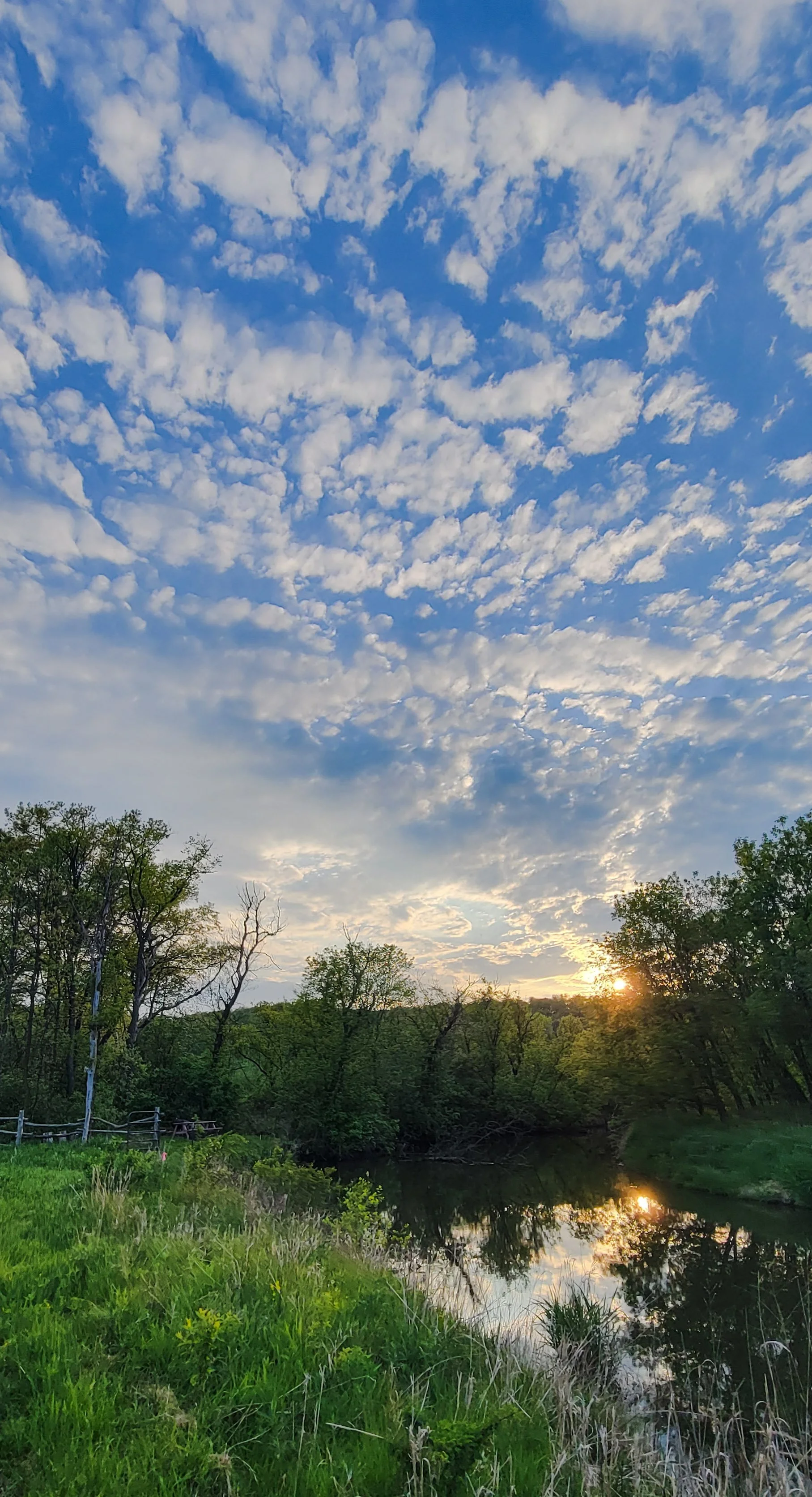 Building a Life From a “Hail Mary” Pass