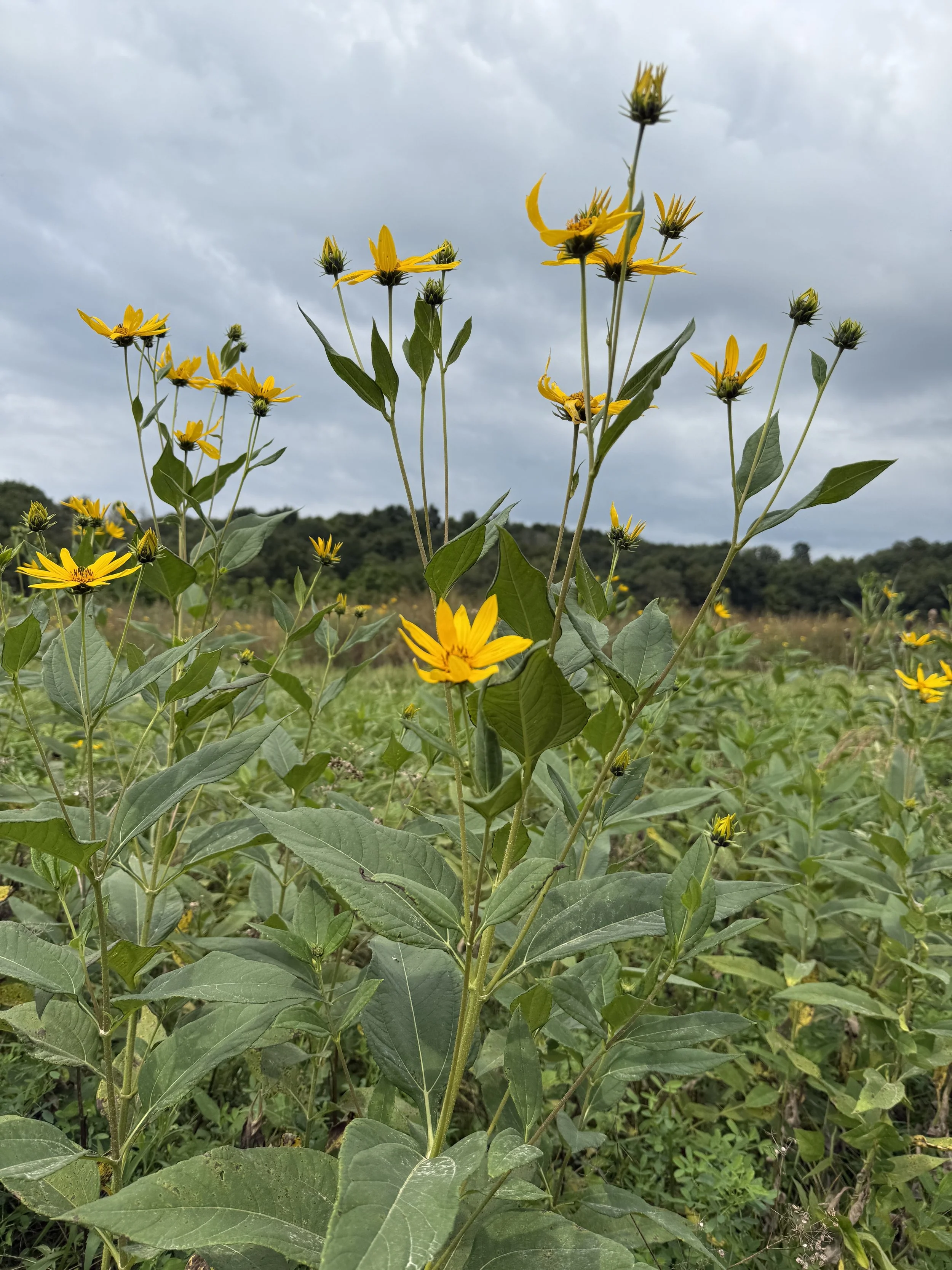 Why Women Need a Wellness Retreat with Other Women