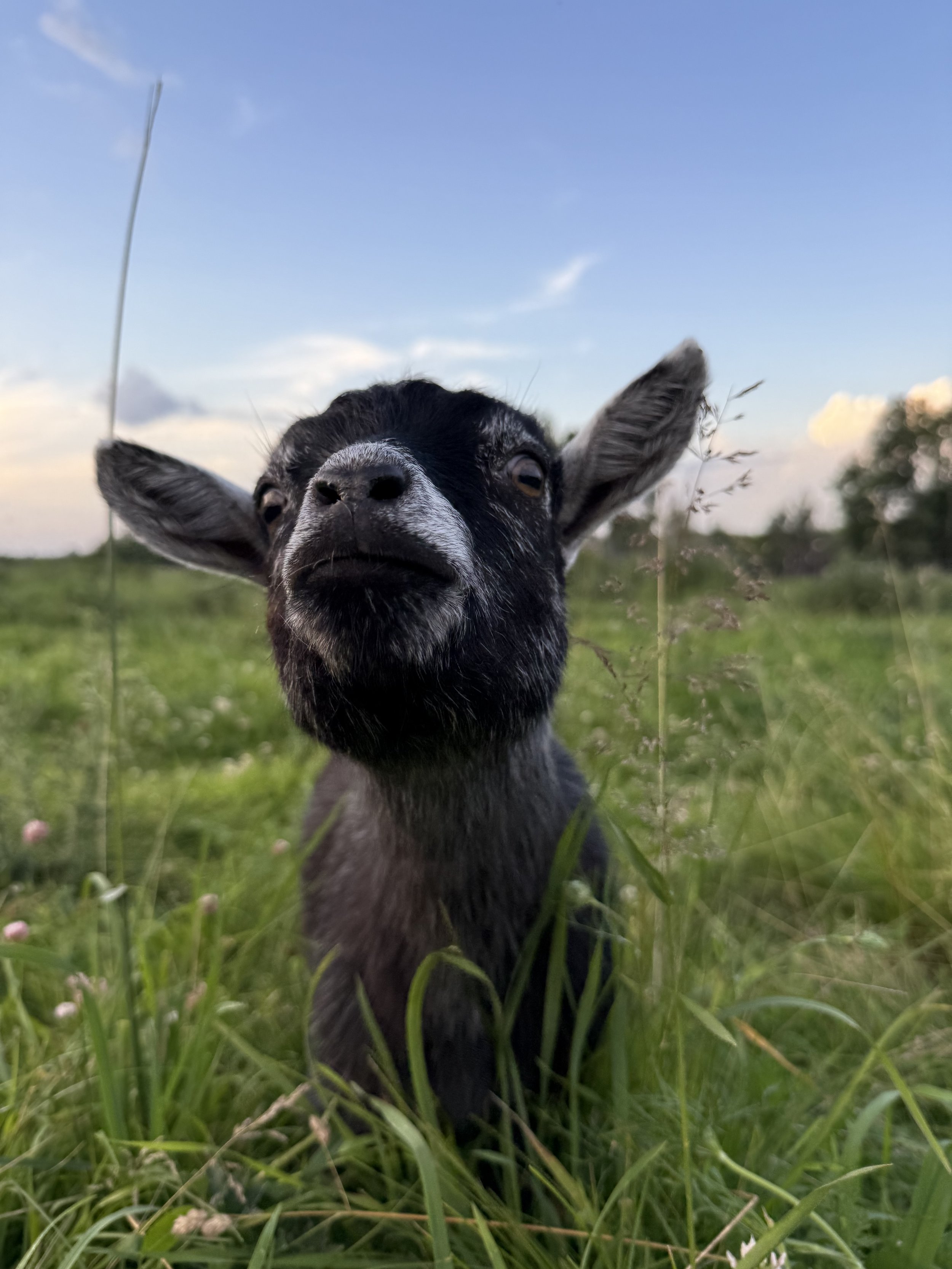 Why Women Need Rest — And Why Restorative Retreats Matter