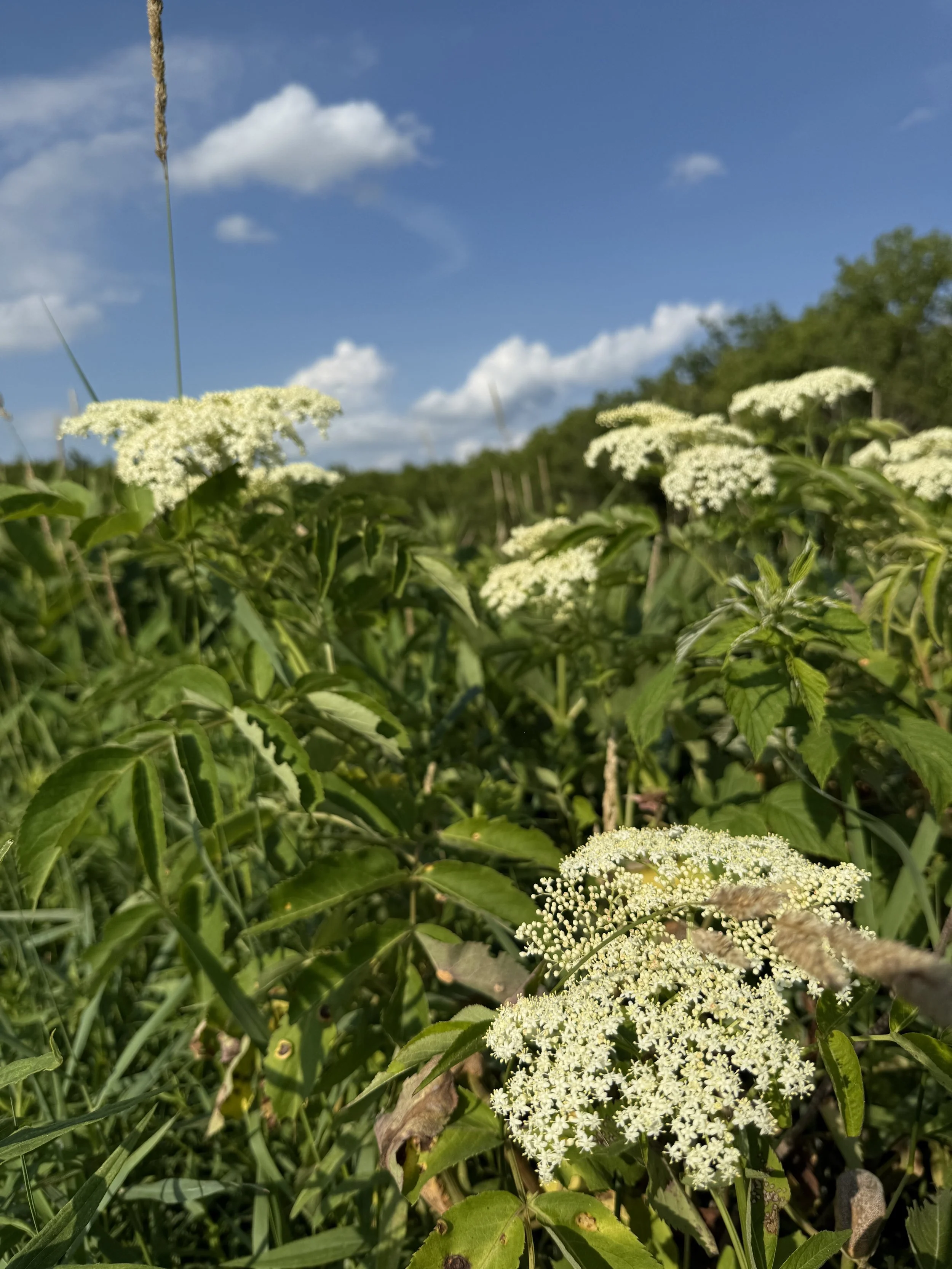 Why Connecting With Other Women Is So Good for Your Mental Wellness