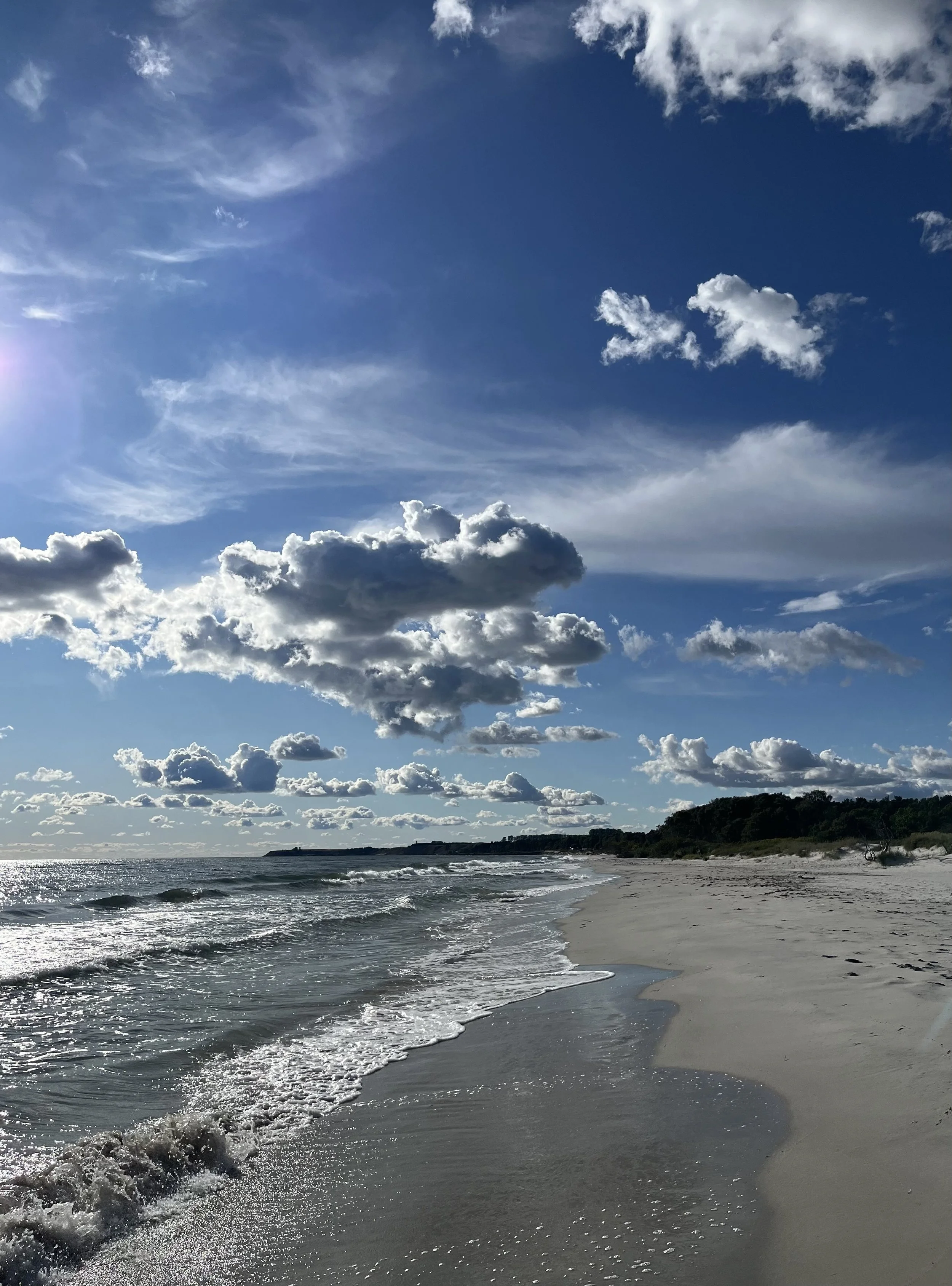 FullSizeRender 4.jpeg