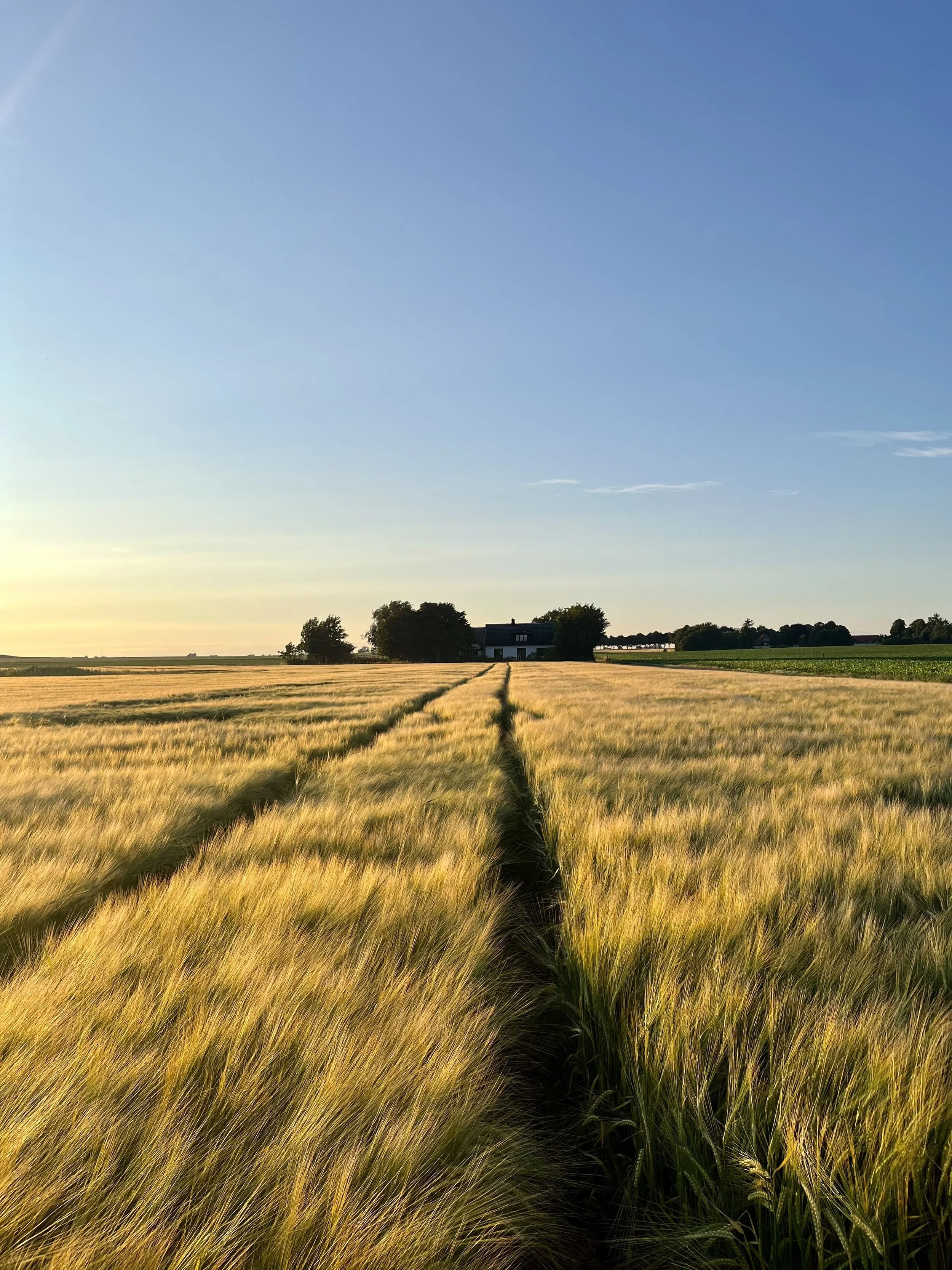 FullSizeRender 8.jpeg