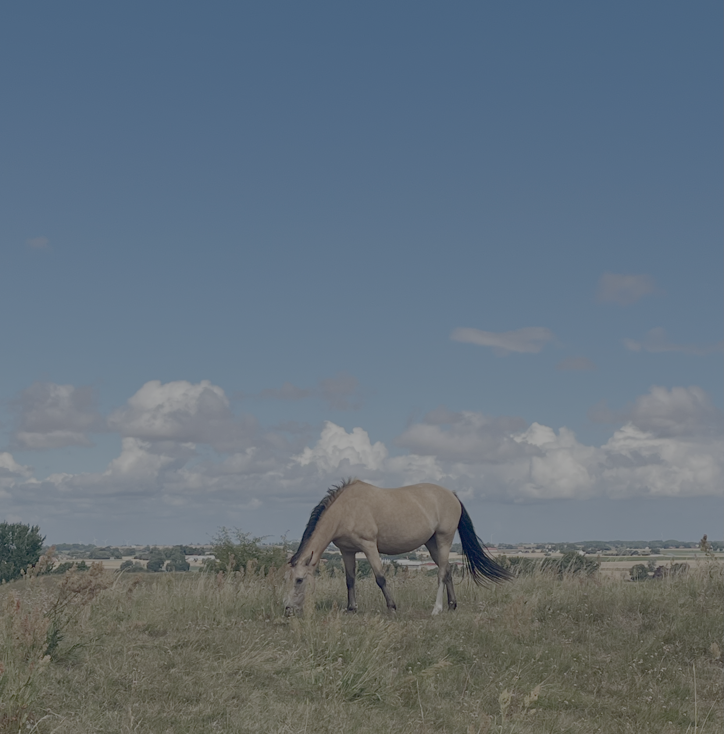 FullSizeRender 2.png