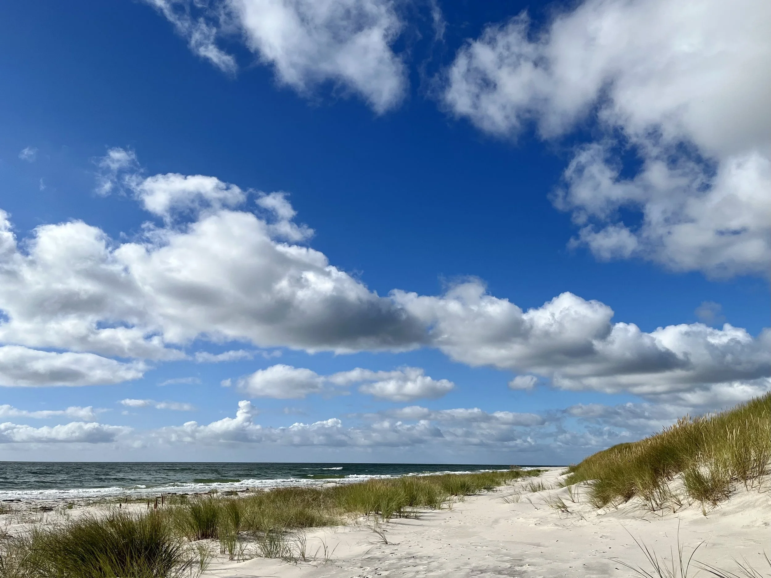 FullSizeRender 6.jpeg