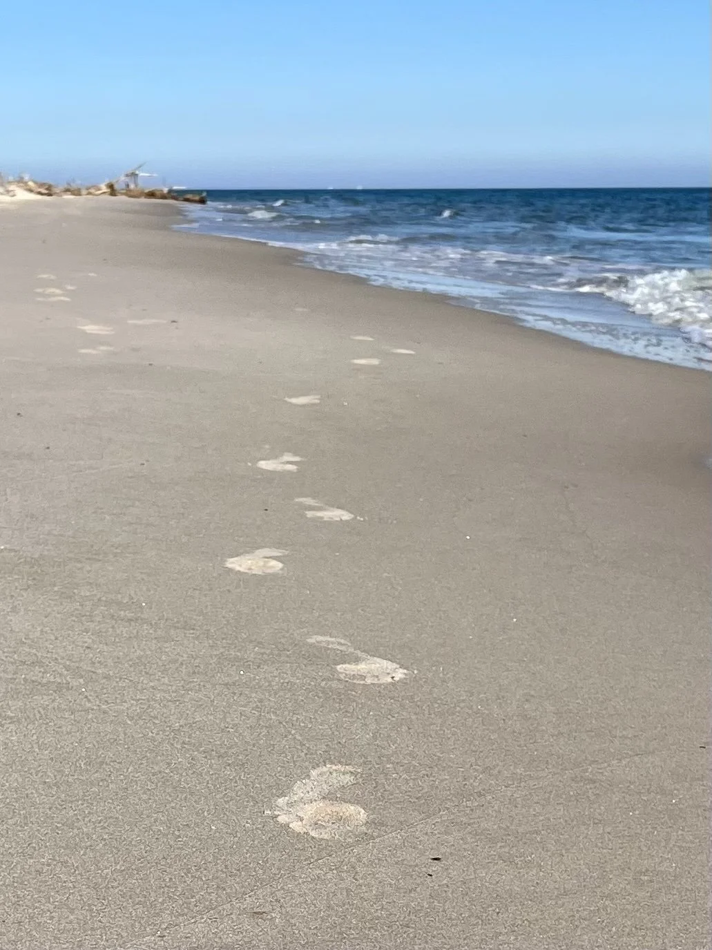 FullSizeRender 5.jpeg