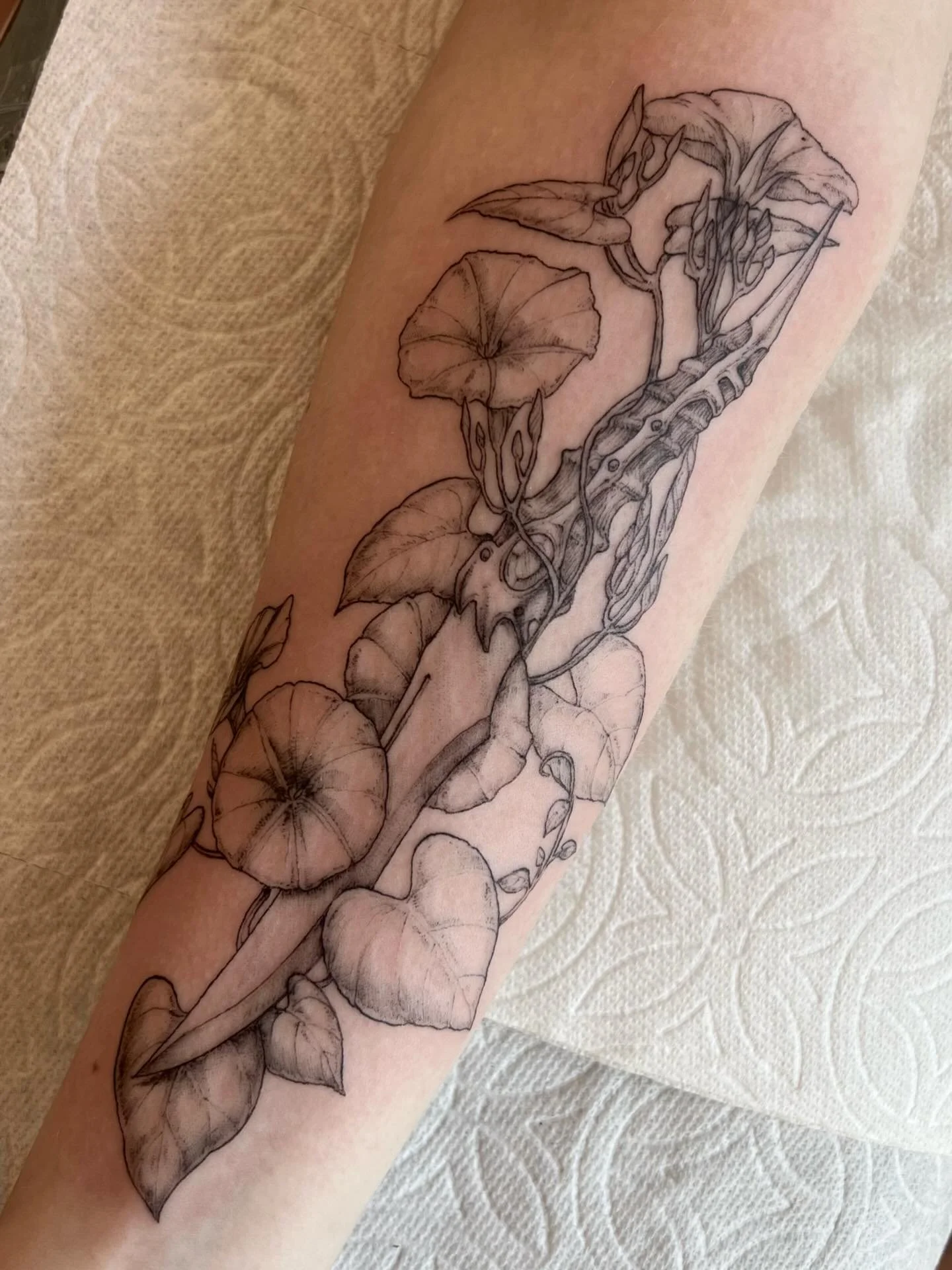 Thank you Cera!
.
.
.
.
.
.

#engraving #engravingtattoo #pnwtattoo #blackwork #tattoo #botanicaltattoo #finelinetattoo #naturetattoo #portland #floral #gameofthrones