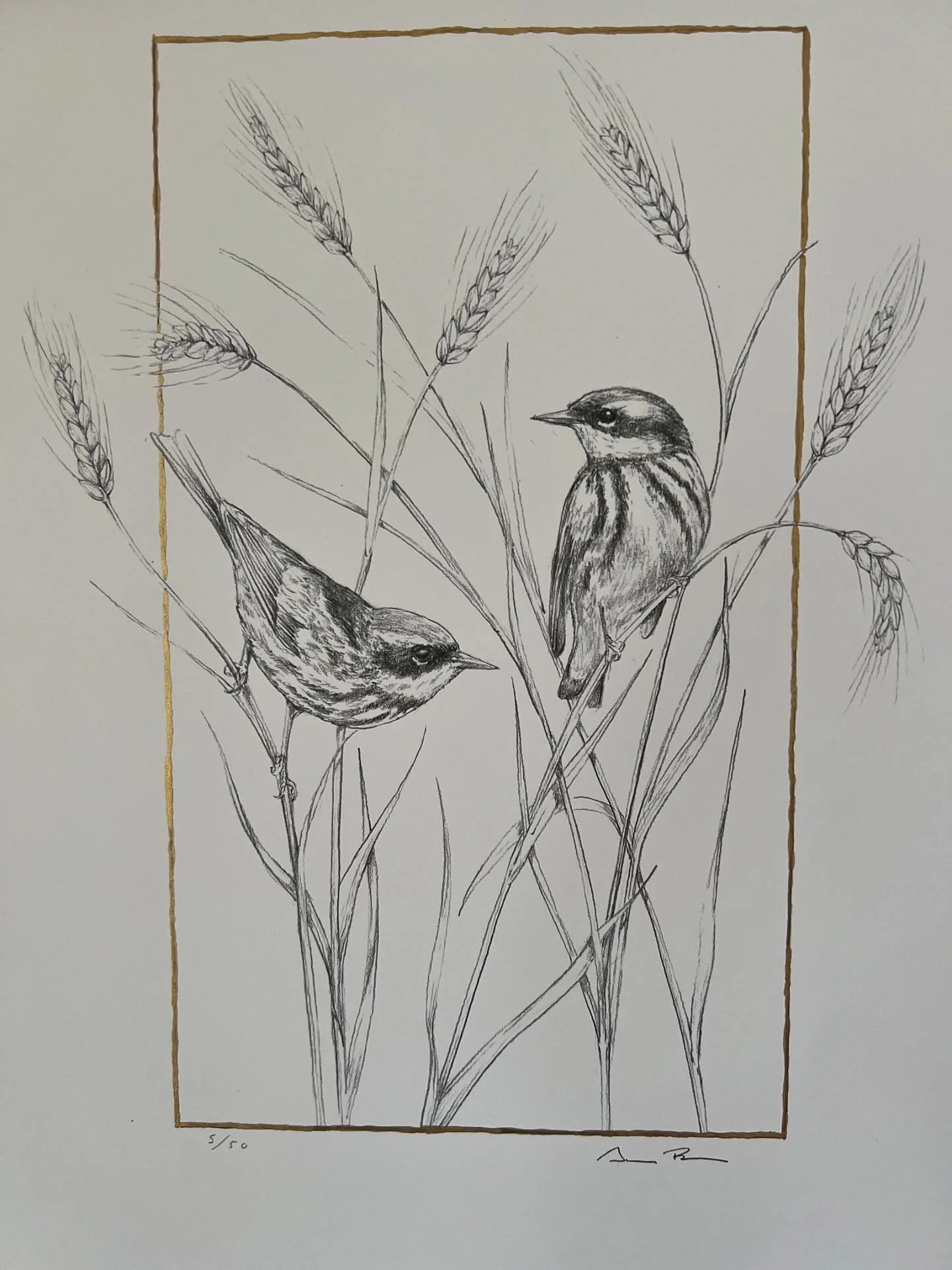 Available prints of original graphite drawings. Hand-painted with liquid gold leaf. Available for pick up, or shipped with (additional shipping cost). 30% of each purchase will be donated to @cwcwildlife ! DM me for orders! Here are the details on th