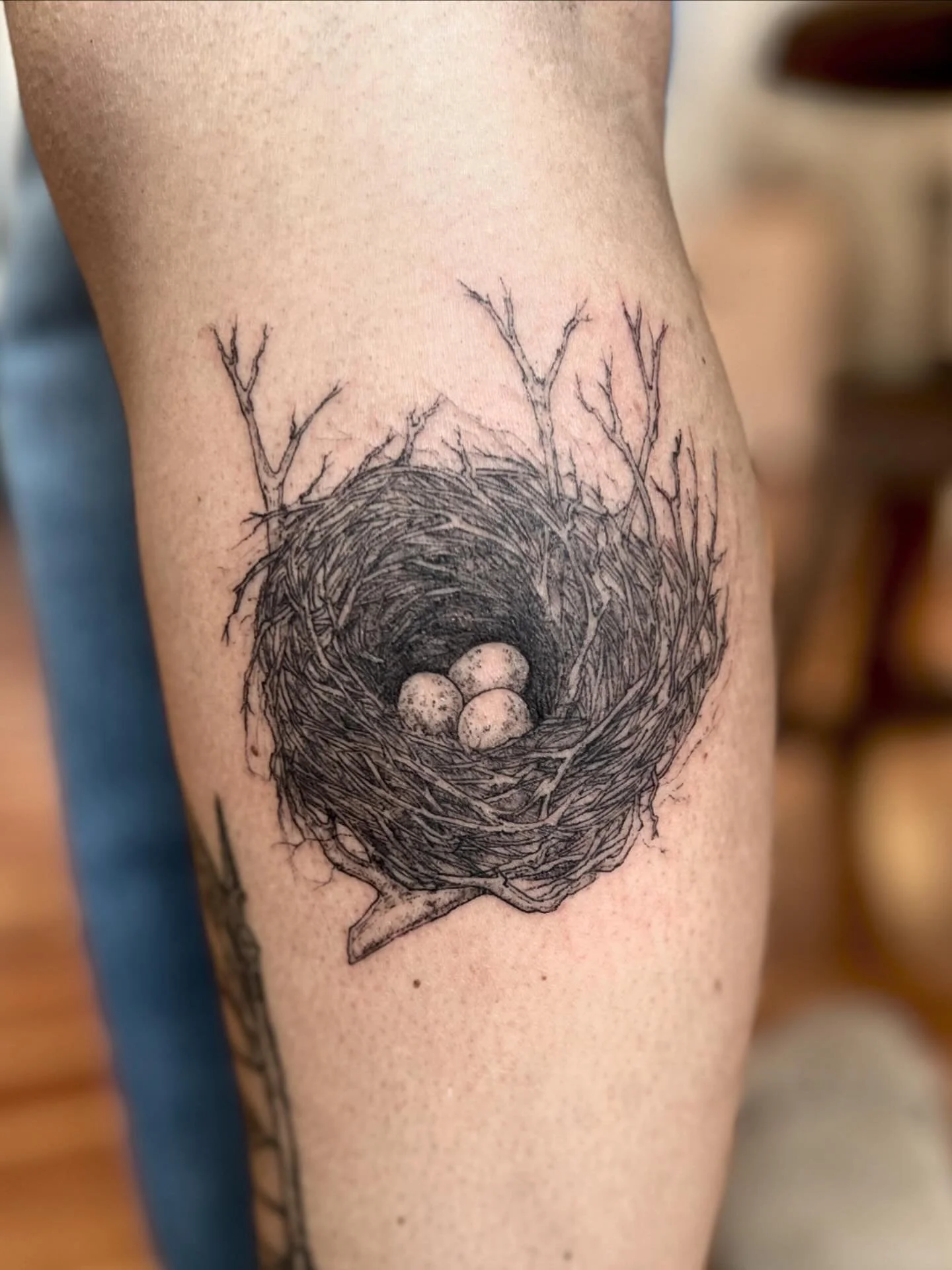 Interrupting the print drop to share this sweet nest I did on @perryinportland .
.
.
.
.
.
.

#engraving #engravingtattoo #pnwtattoo #blackwork #tattoo #botanicaltattoo #finelinetattoo #naturetattoo #portland #floral