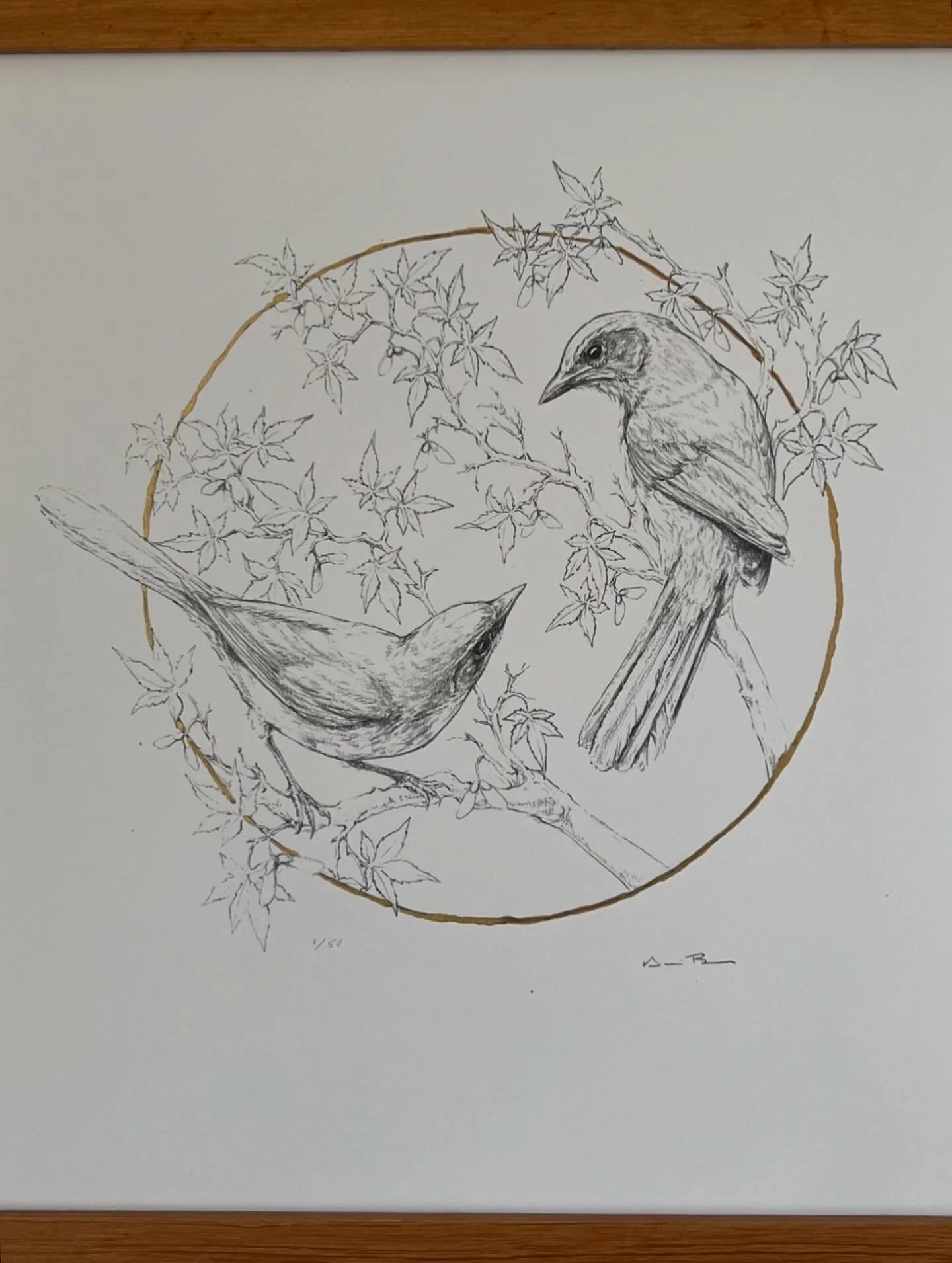 THE SCRUB JAYS  Available prints of original graphite drawings. Hand-painted with liquid gold leaf. Available for pick up, or shipped with (additional shipping cost). 30% of each purchase will be donated to @cwcwildlife ! DM me for orders! Here are t