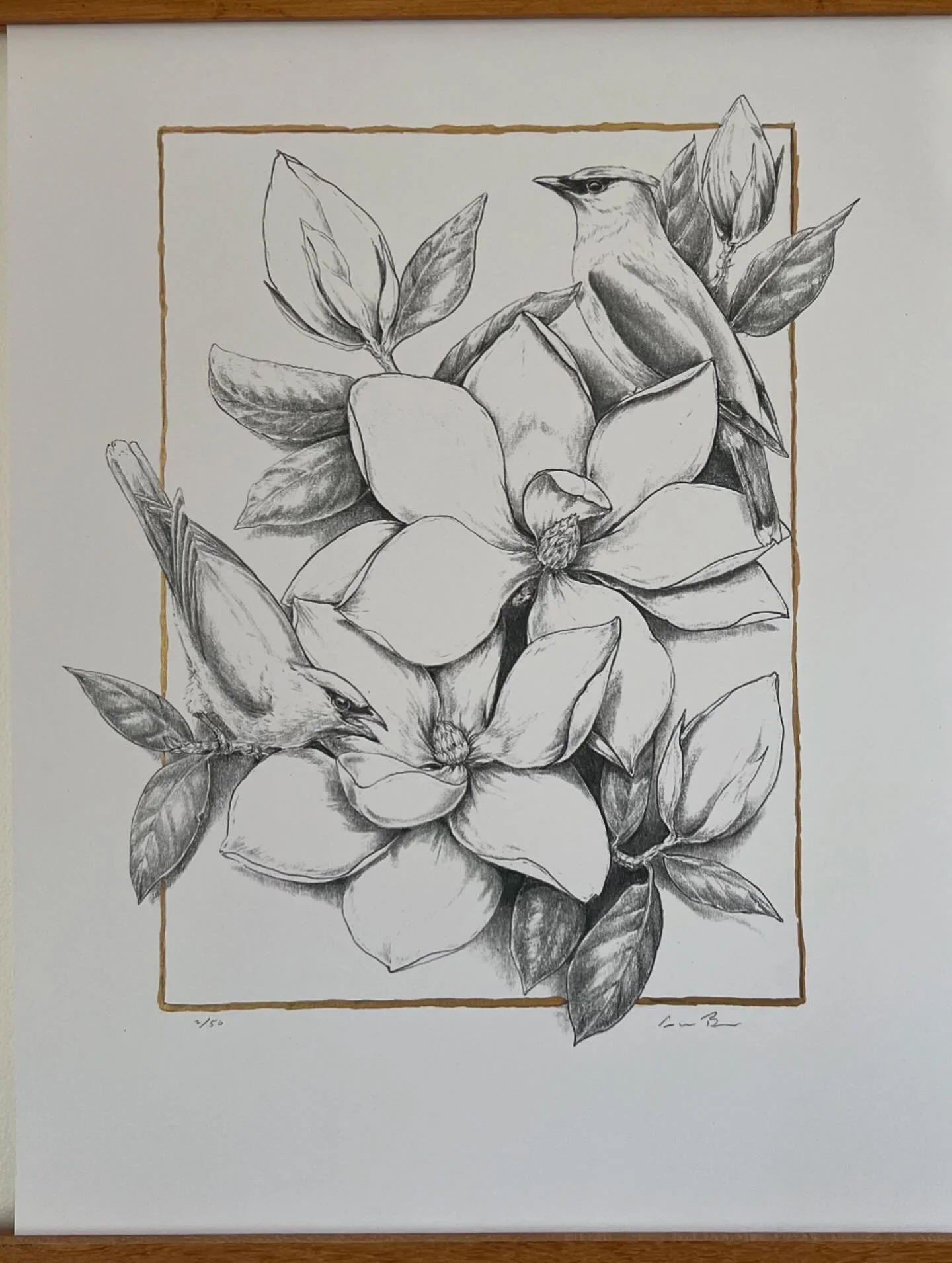 THE CEDAR WAXWINGS Available prints of original graphite drawings. Hand-painted with liquid gold leaf. Available for pick up, or shipped with (additional shipping cost). 30% of each purchase will be donated to @cwcwildlife ! DM me for orders! Here ar