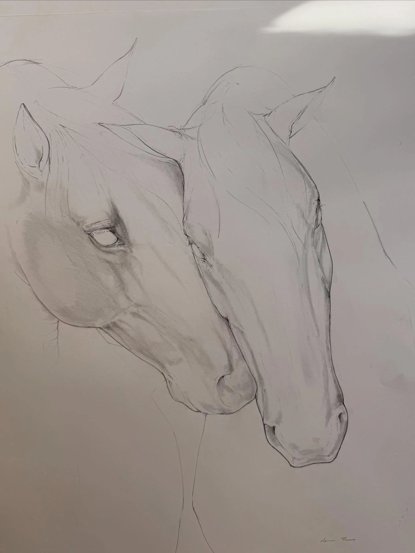 A series of horses from the year so far. All graphite on paper with gold or not, exception of the hoof