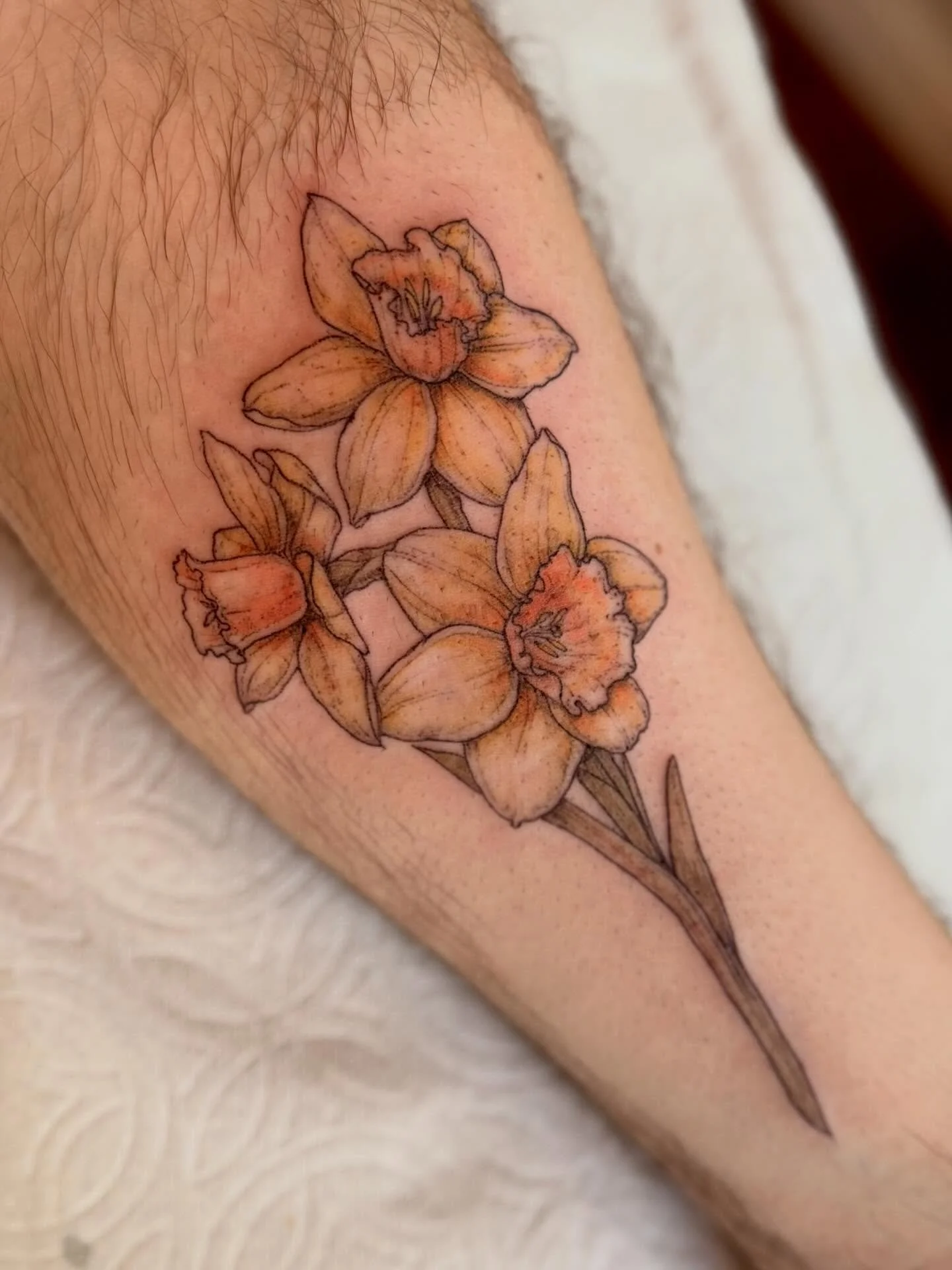 One of two matching daffodil pieces for a pair of love birds 💚.
.
.
.
.
.

#engraving #engravingtattoo #pnwtattoo #blackwork #tattoo