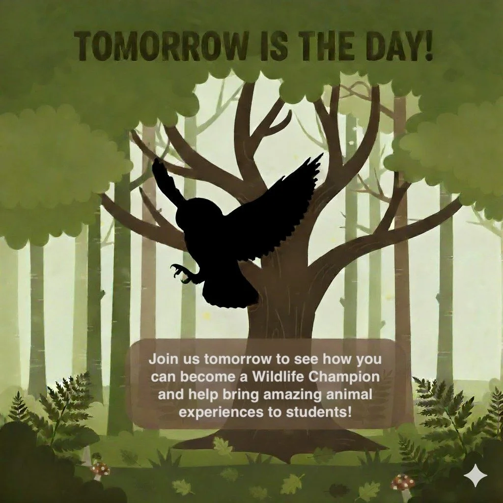 TOMORROW is National Wildlife Day, and our girl Gafas is ready for her close-up! 

Join us tomorrow to see how becoming a Wildlife Champion helps us bring these amazing animal experiences to over 9,000 students across the 901 and beyond!

Big thanks 