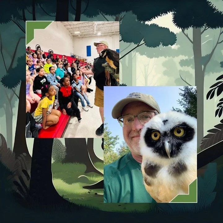 Gafas isn't just any owl &ndash; she's a conservation superstar with a mission! 🦉

Her unique "hoot" sounds nothing like our native Tennessee owls, and she LOVES her daily showers when it's hot outside here in the 901. This girl has person