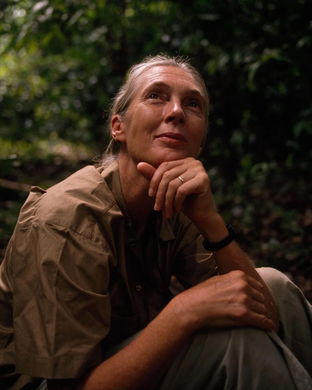 Honoring Dr. Jane Goodall's Legacy at the WDC