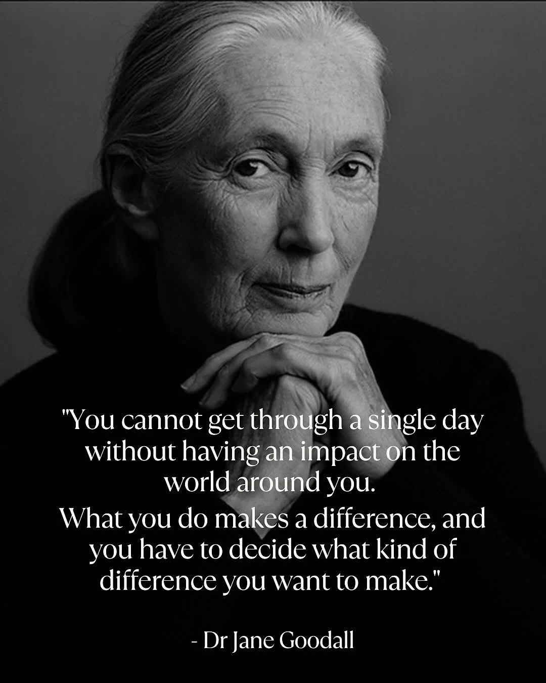 It&rsquo;s with heavy hearts that we at the Wildlife Discovery Center share the news of Dr. Jane Goodall&rsquo;s passing. Her revolutionary work with chimpanzees and lifelong dedication to conservation have inspired scientists worldwide, including ou