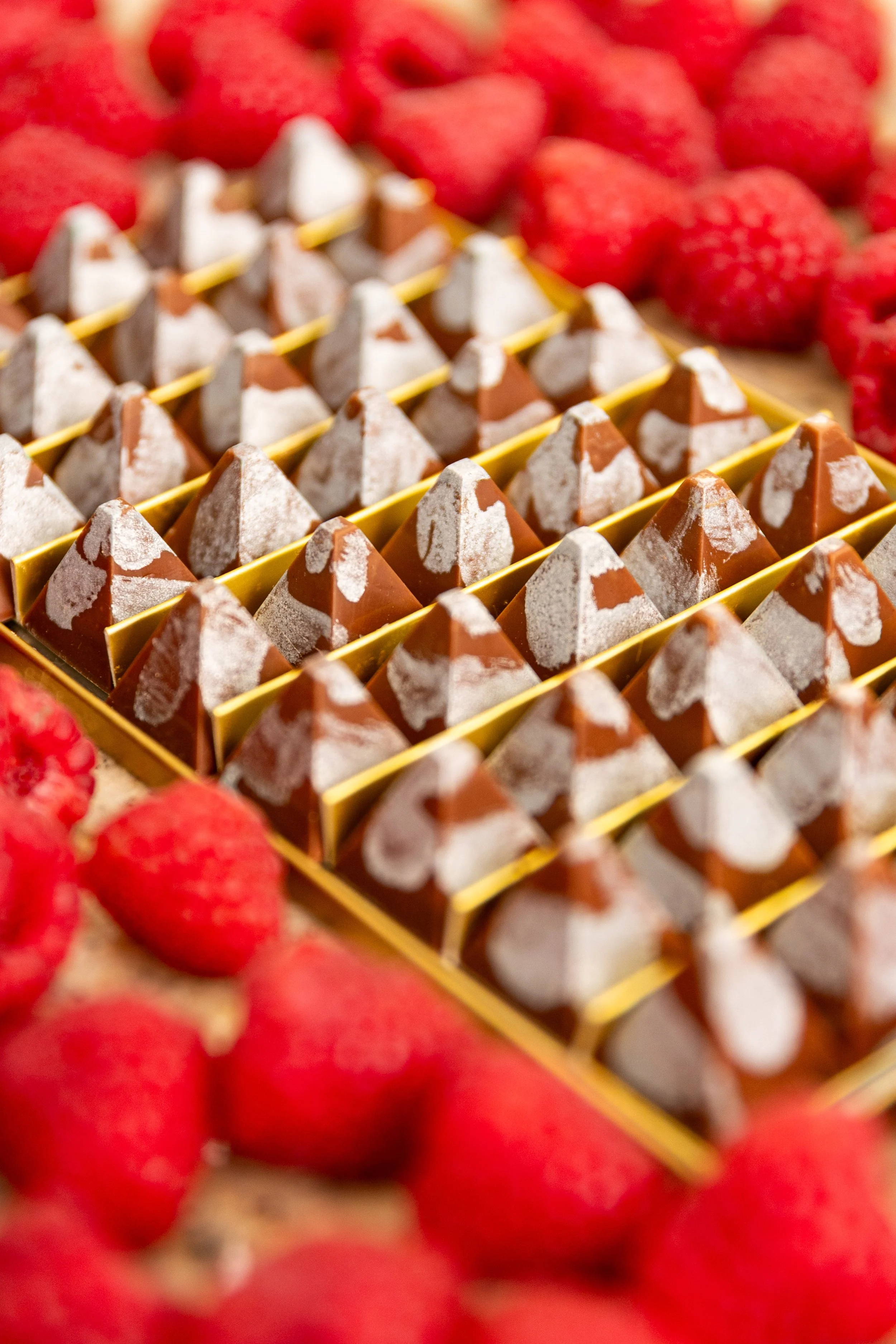 Jade Génin Session 9 Traitée-4968.jpg