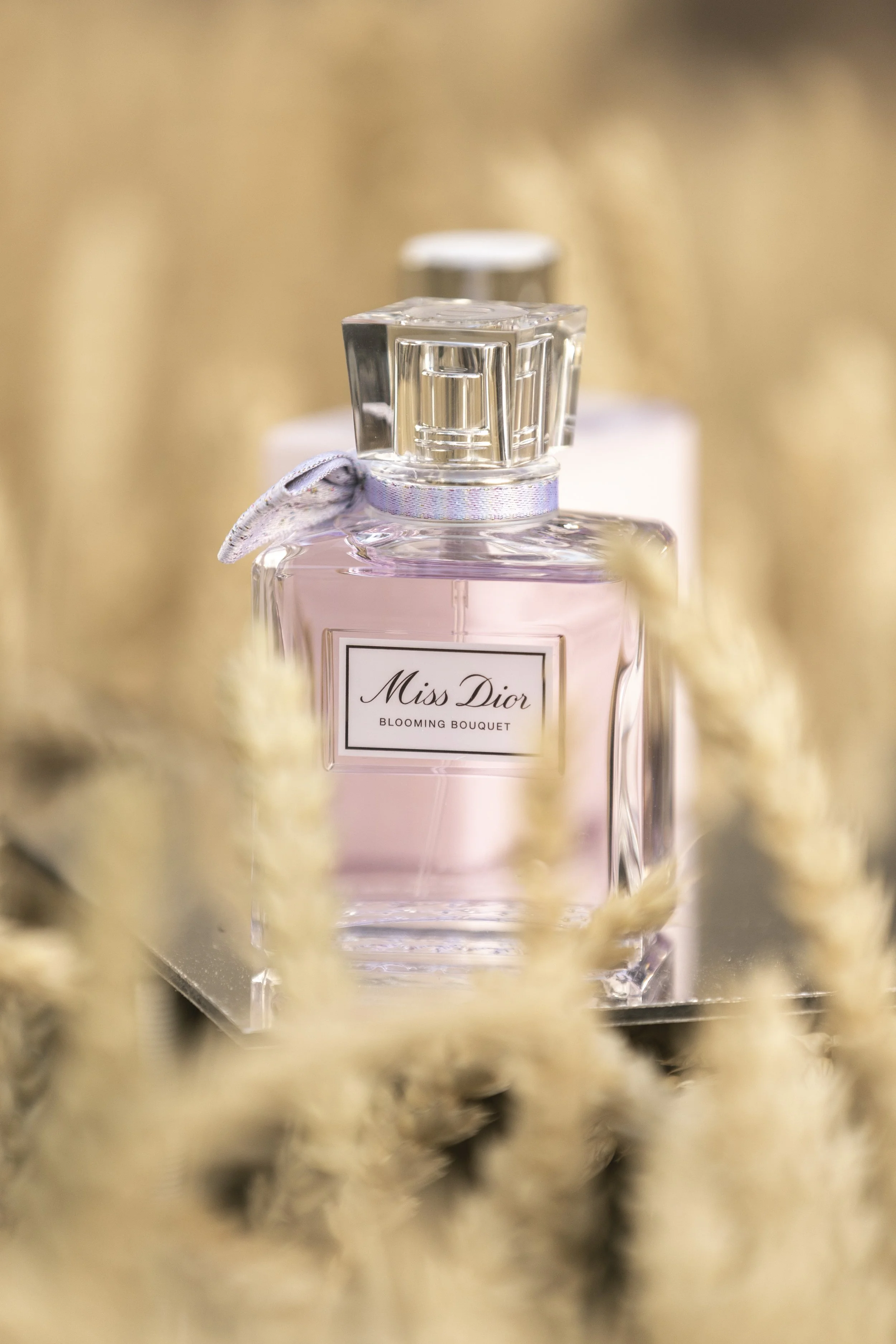 Dior Traitée-1702.jpg