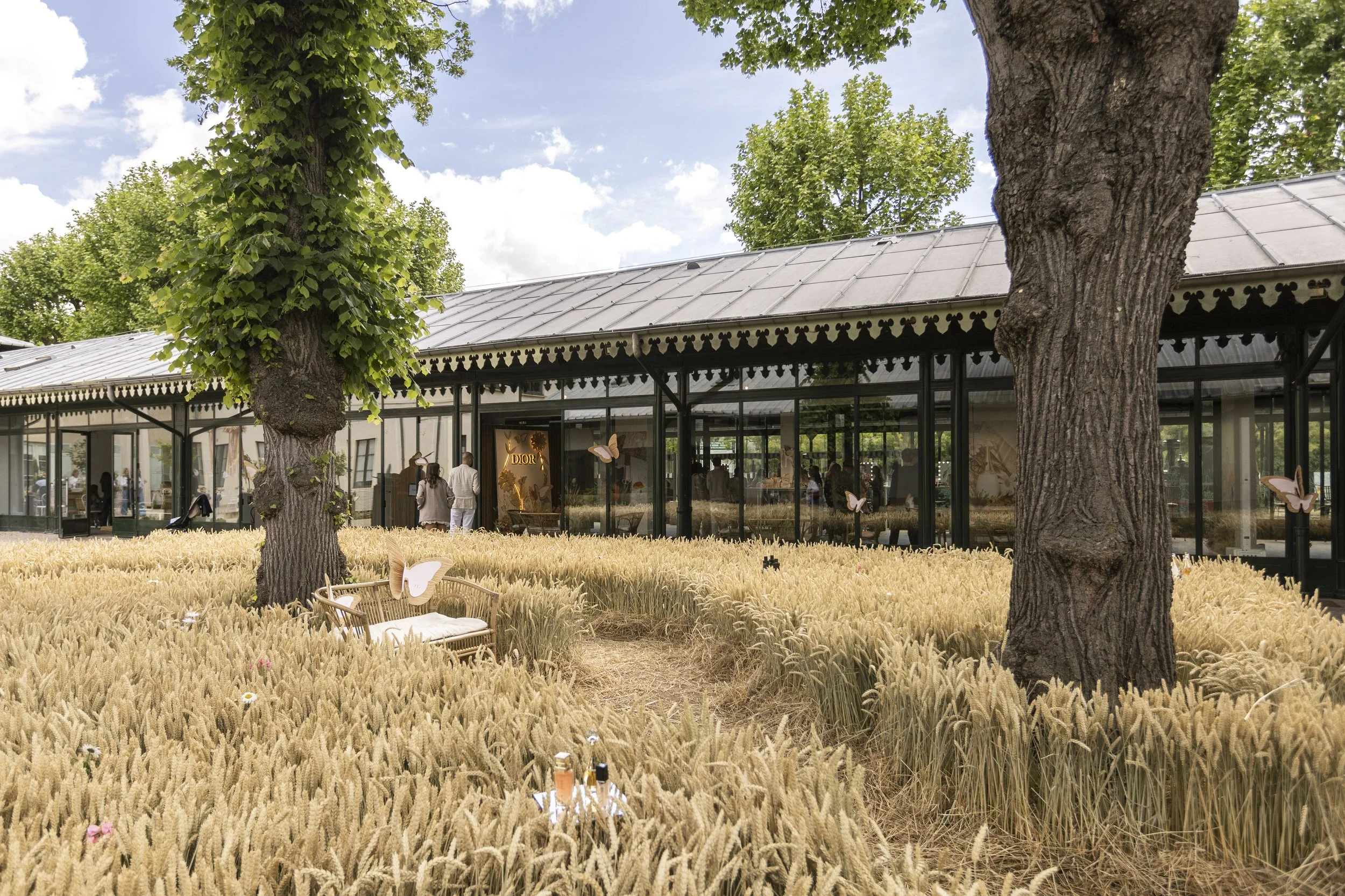 Dior Traitée-0410.jpg