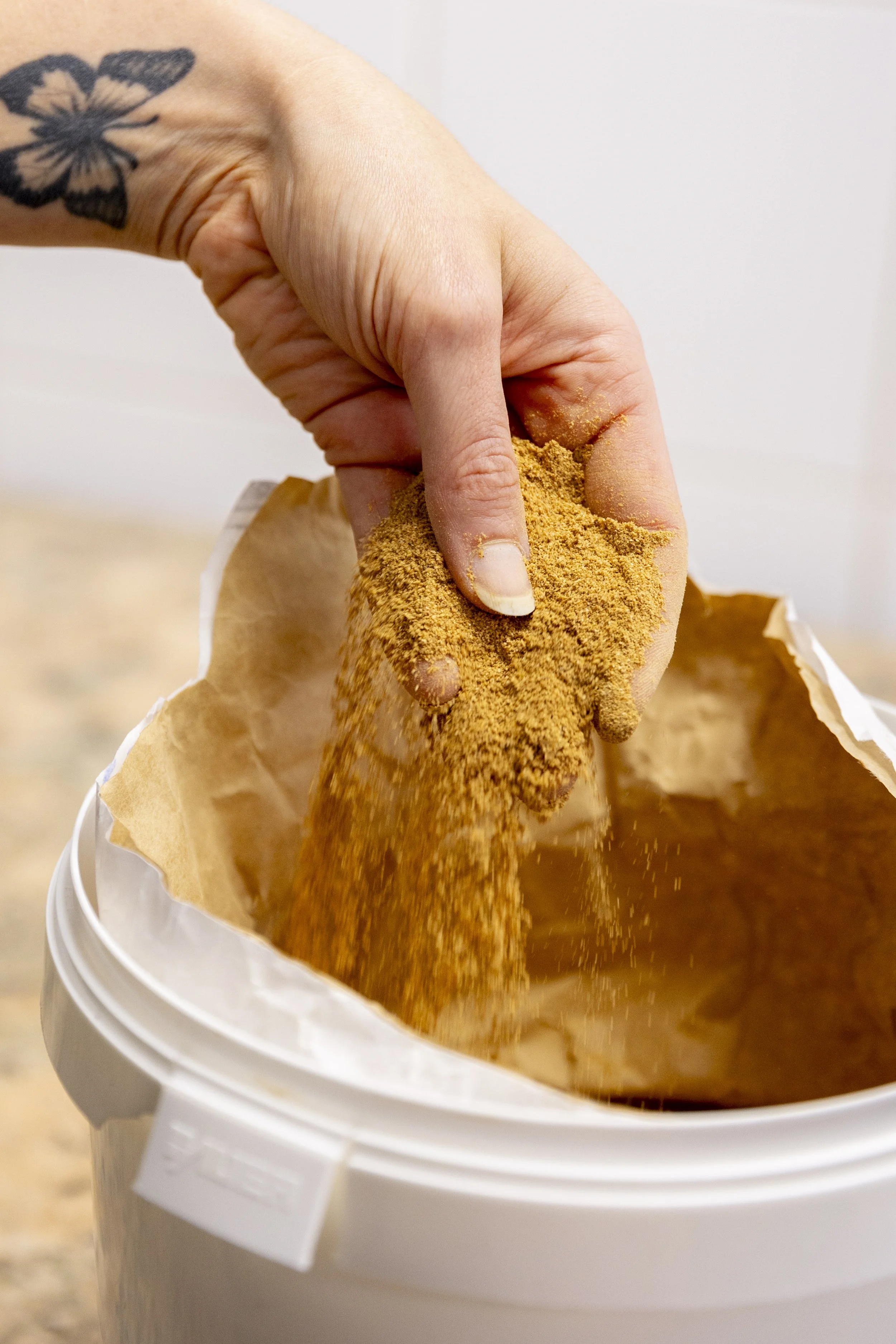 Jade Génin Session 1 Traitée-0844.jpg