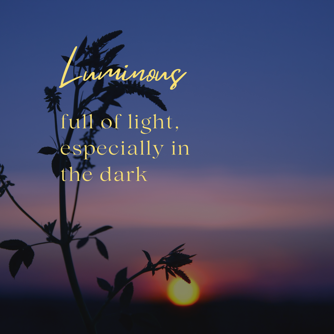 Luminous Sponsor (Cocktail Reception)