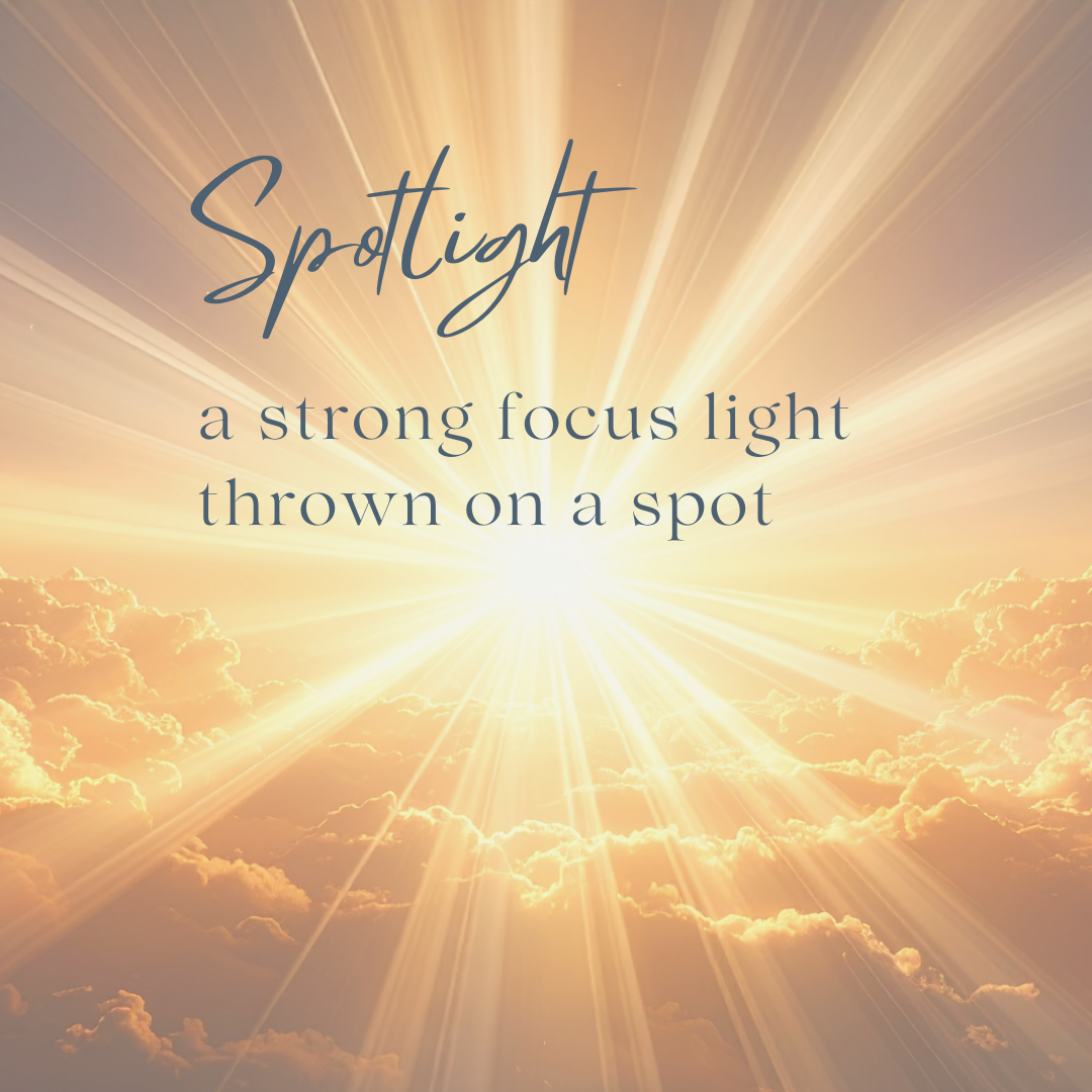 Spotlight Sponsor (AV & Emcee)