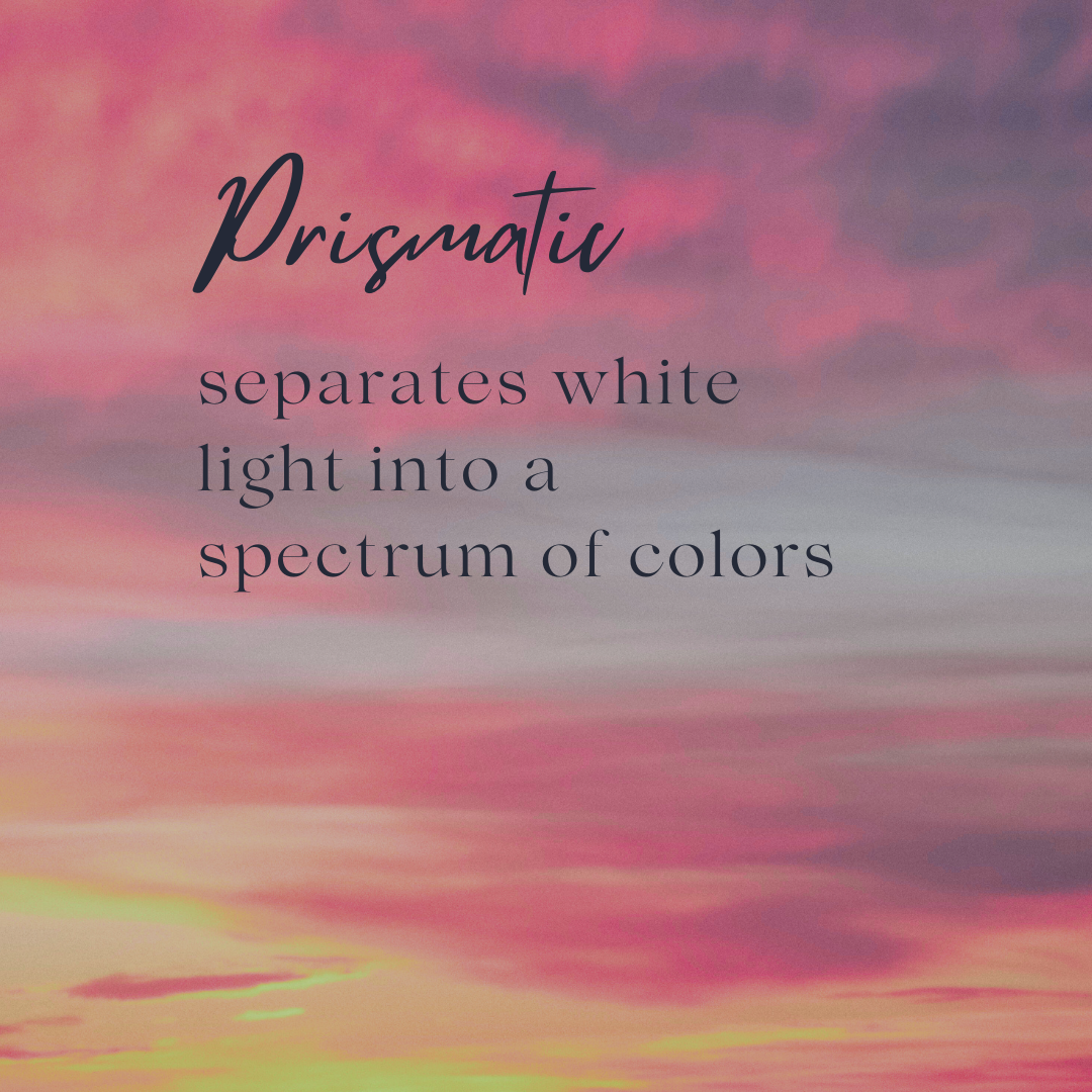 Prismatic Sponsor (Dinner Reception)