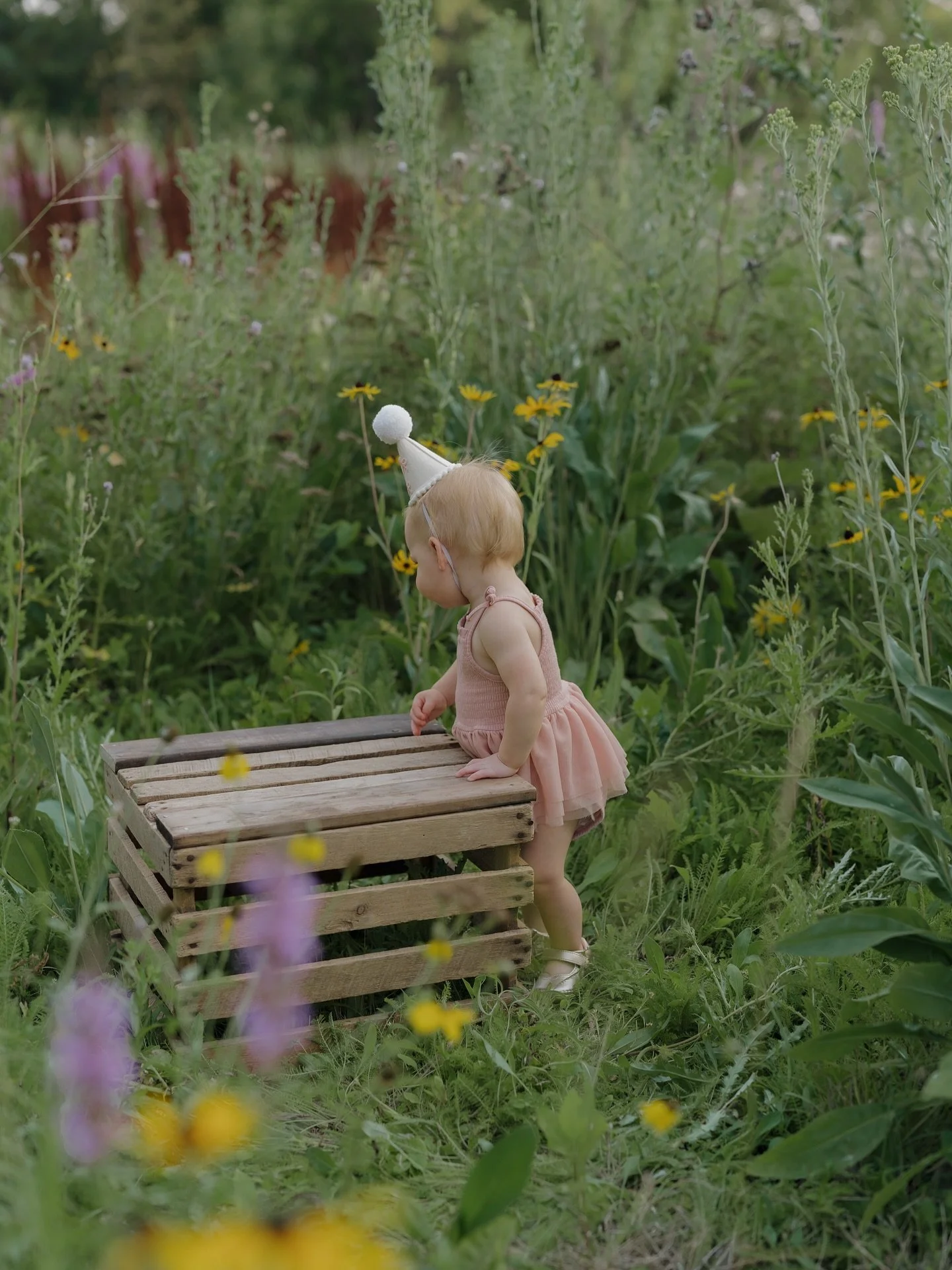 I can&rsquo;t let summer slip away without sharing these sweet One Year photos of Cece 🌸 This is your sign to take the milestone photos! Such precious moments to look back on 🤍

#grandforksphotographer #milestonephotography #grandforksfamilyphotogr